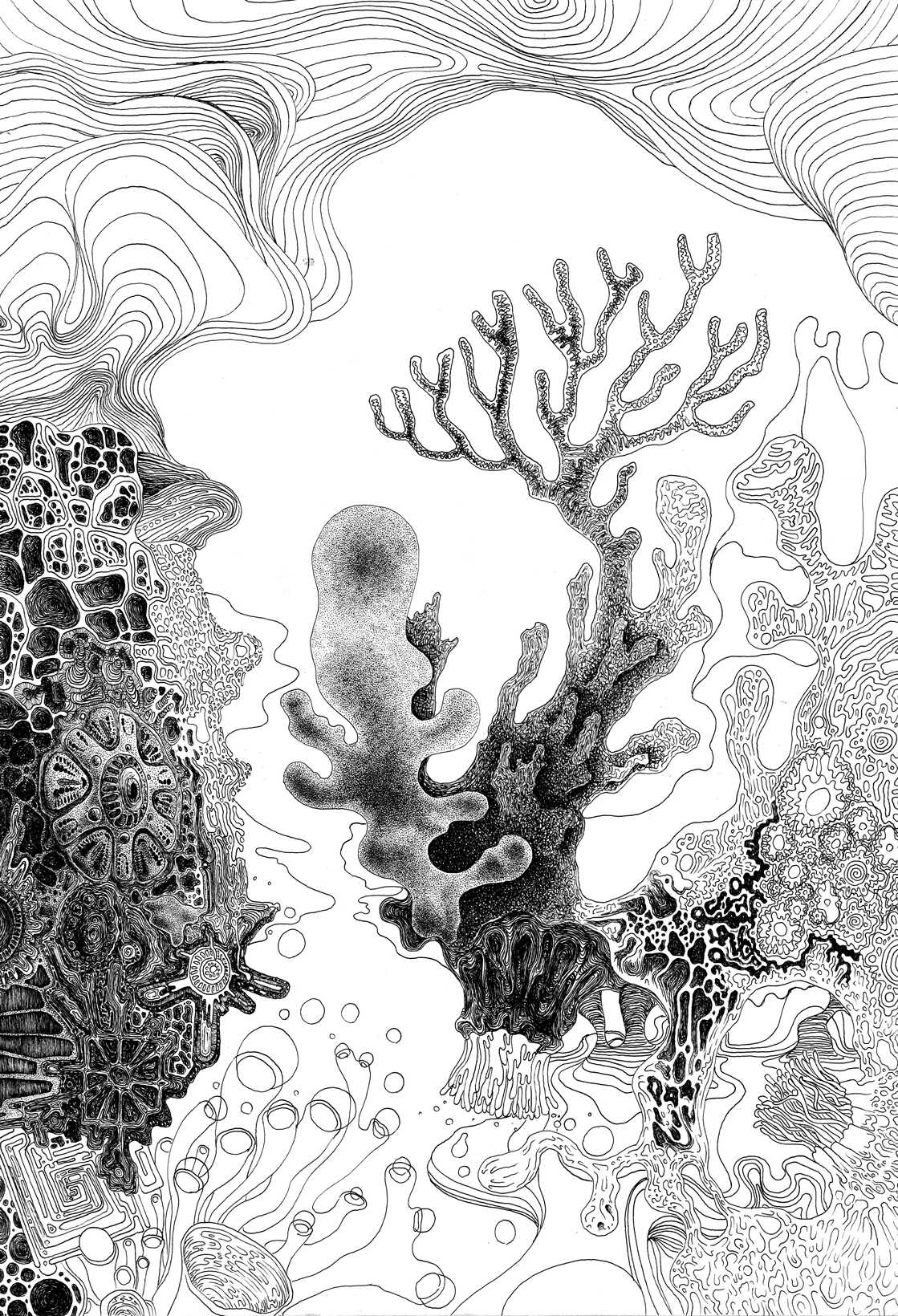 underwater.jpg