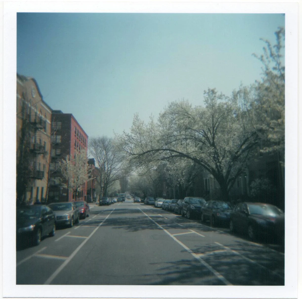 spring.jpg