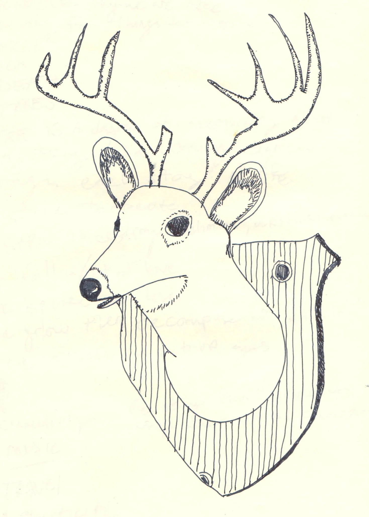 deerhead.jpg