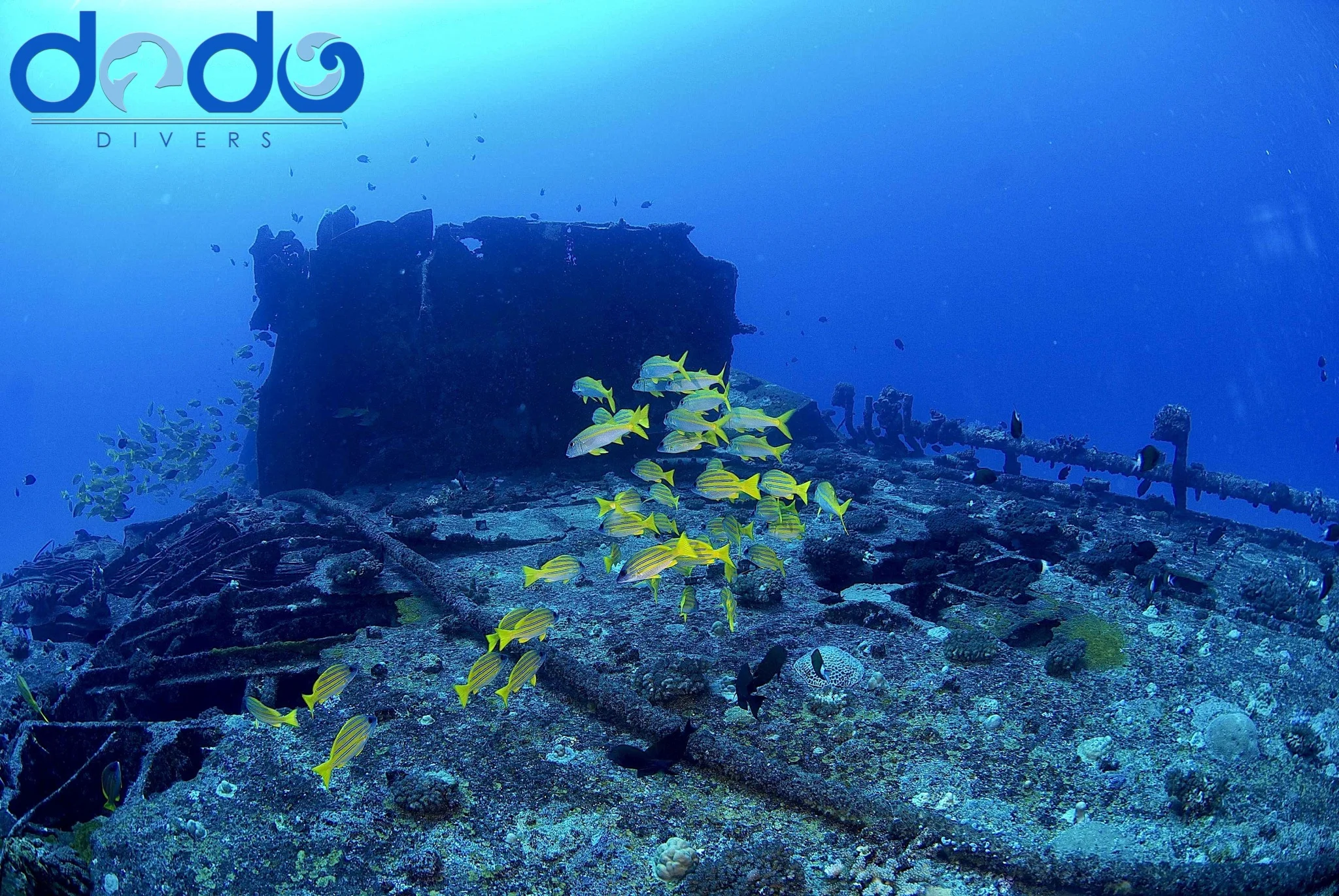 Amazing wreck diving