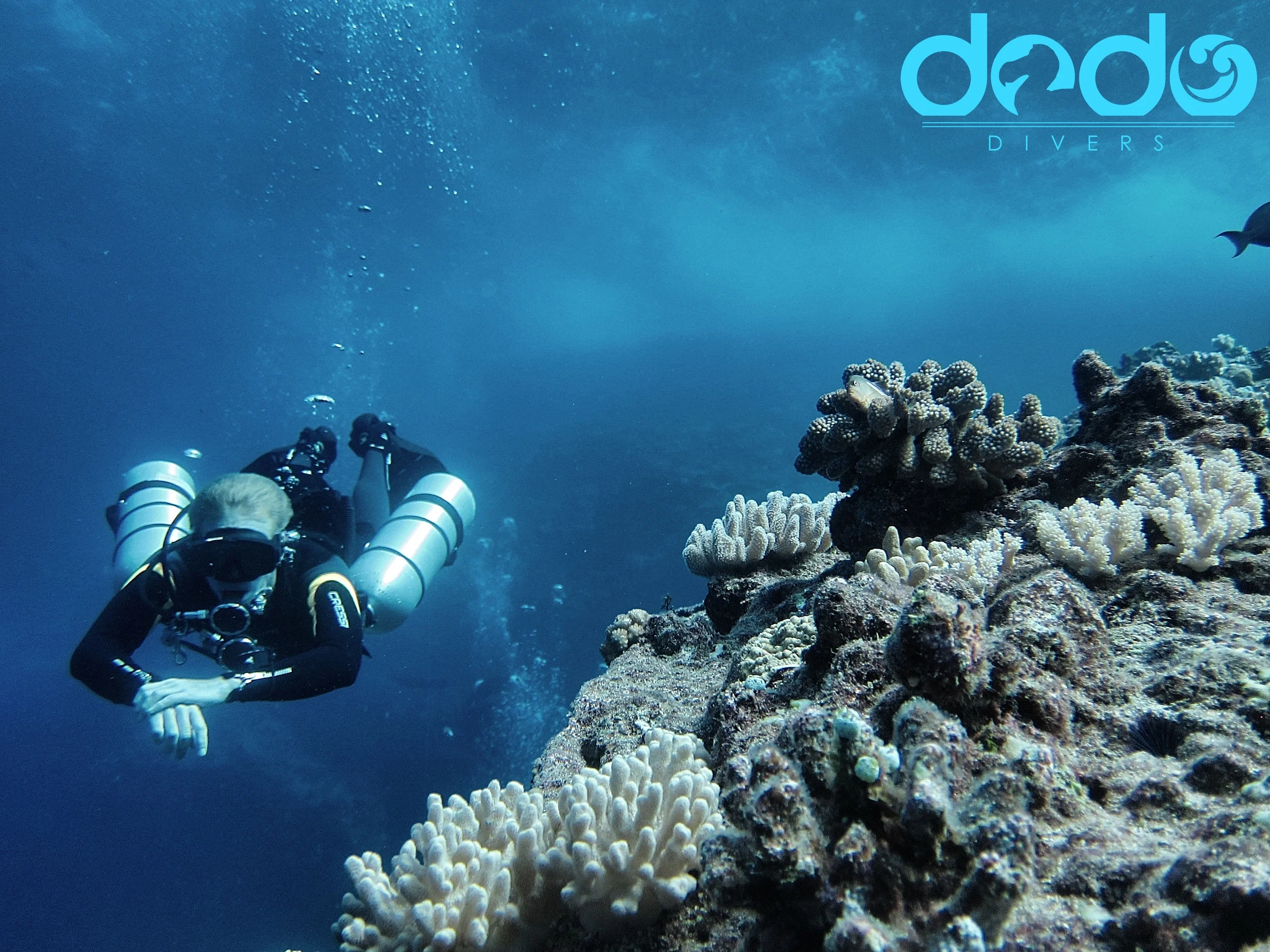 SideMount Mauritius