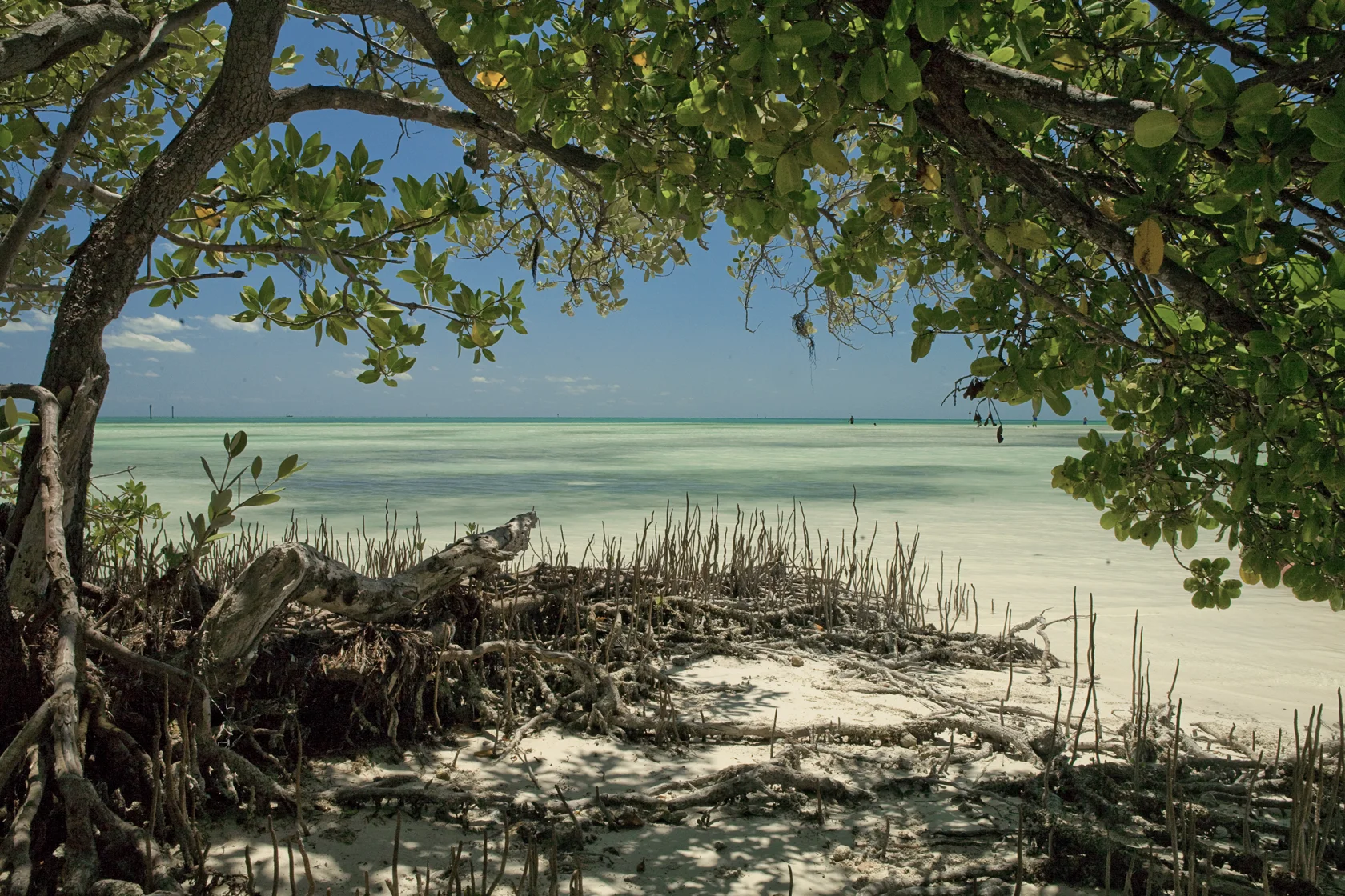 Key West - Florida, USA