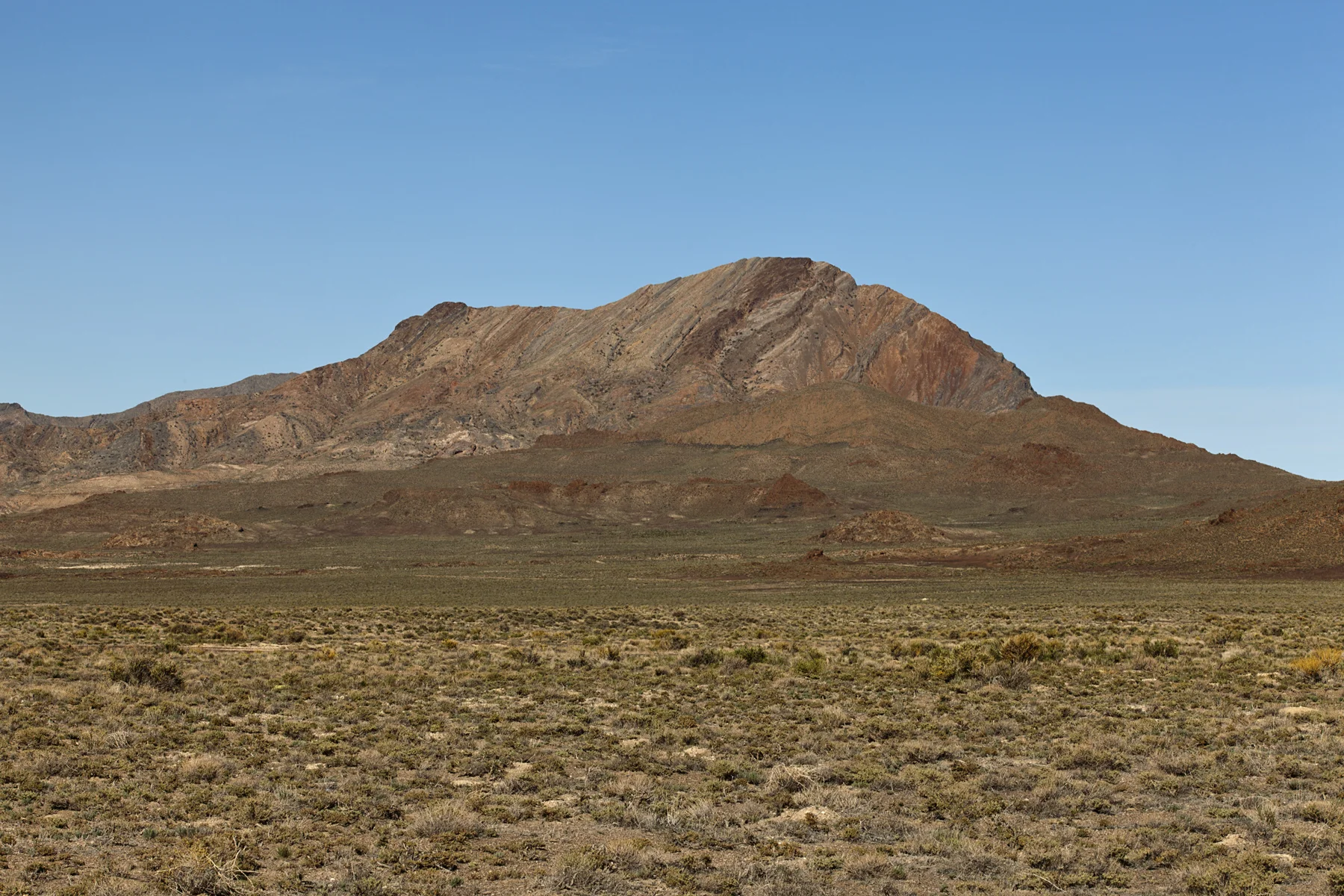 _MG_2126.jpg