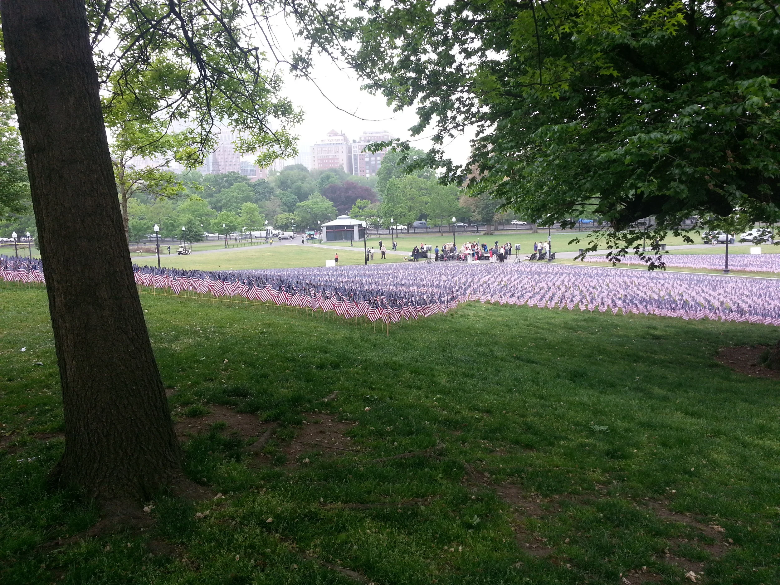A view from the top of the hill.
