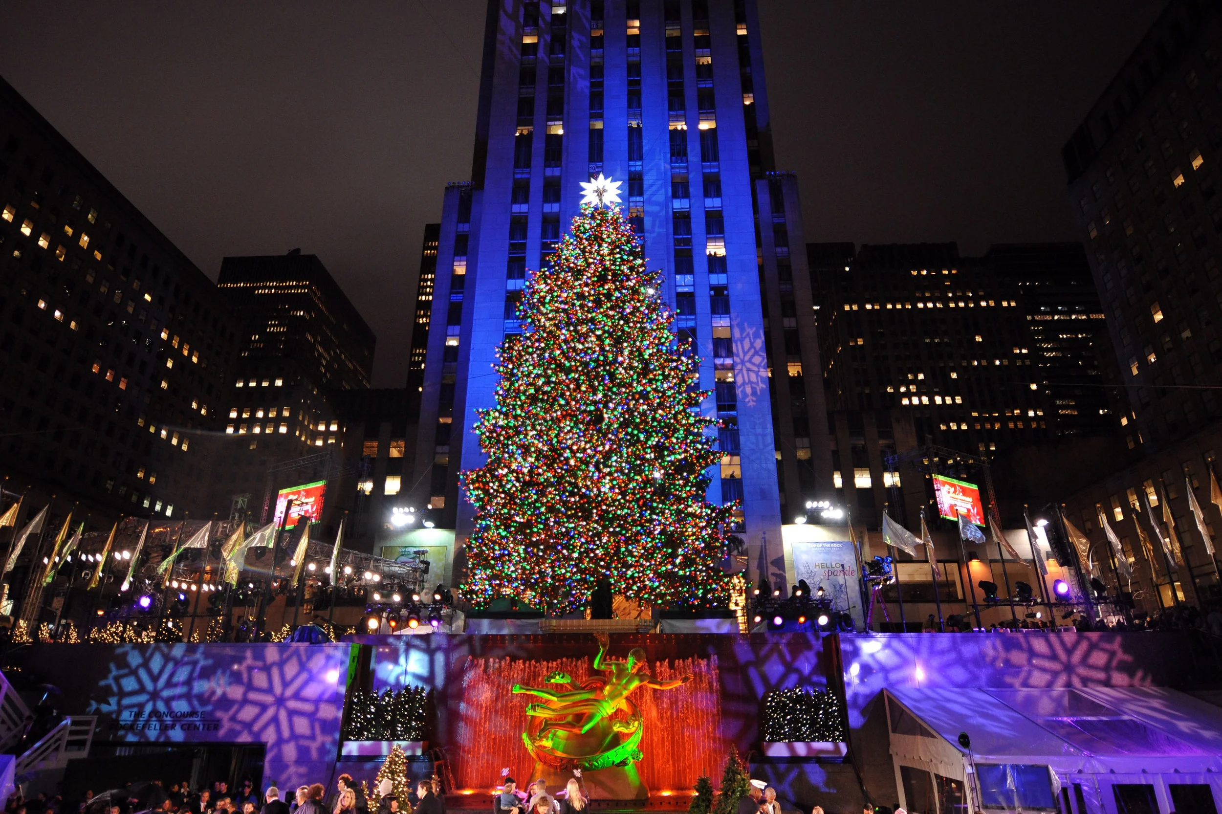 holidaylights.jpg