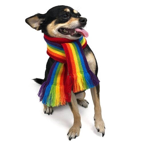 rainbowscarf.jpg