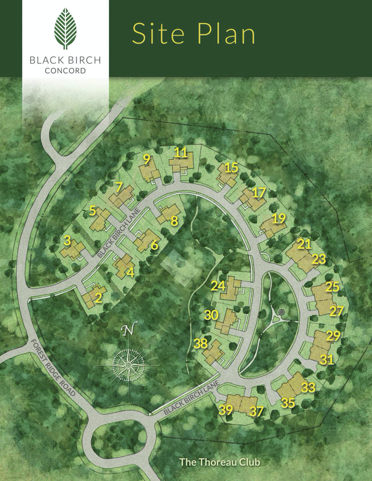 Site Plan