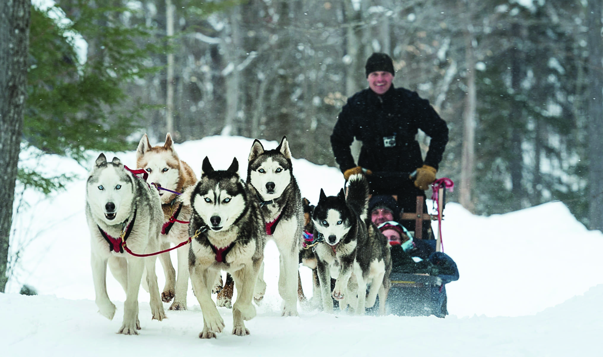 160925_dogsledding_2032x1204_4.ashx.jpeg