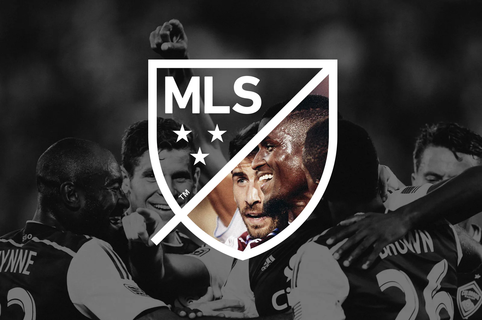 MLS_WINDOW_LOGO.jpg