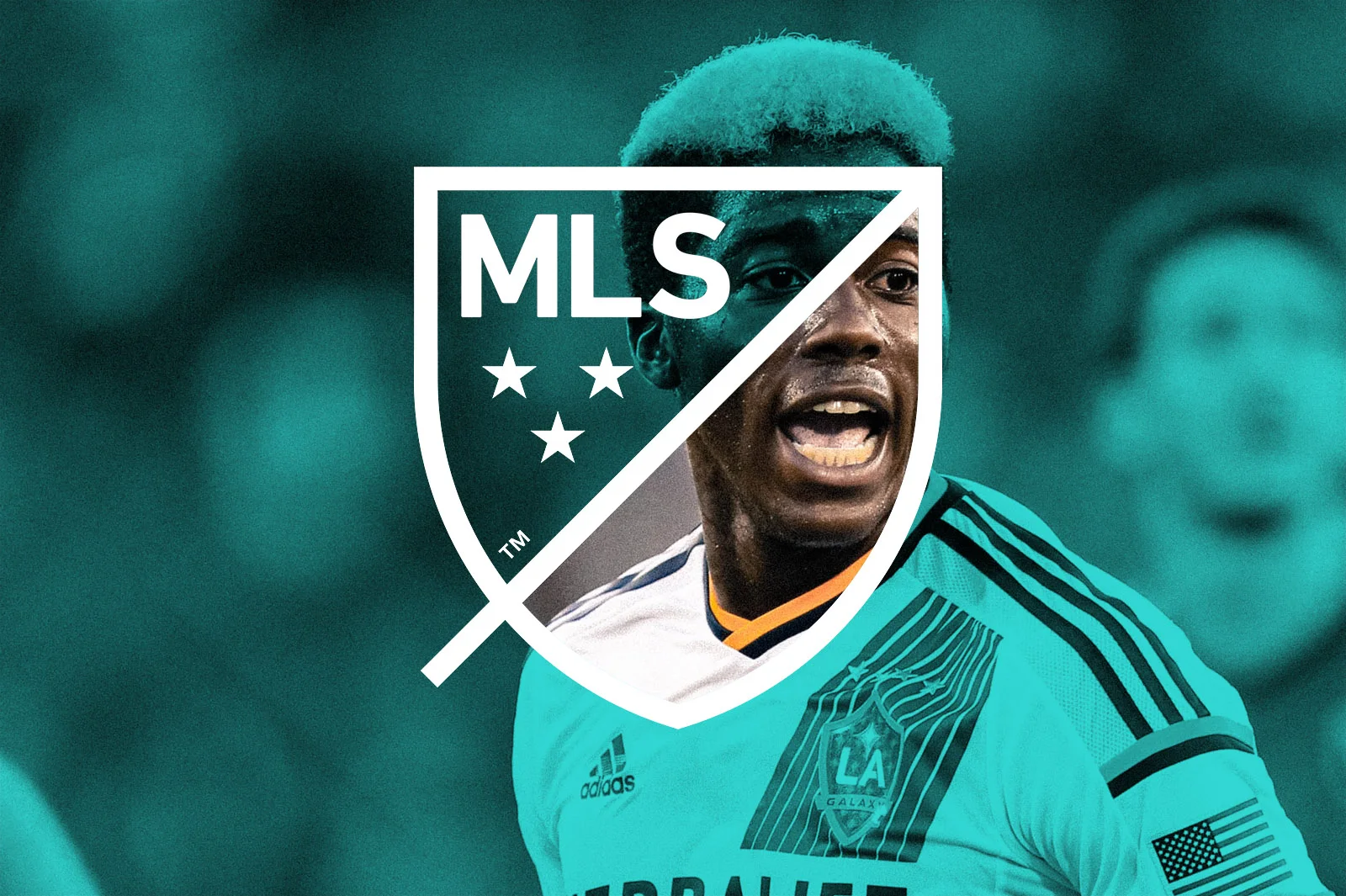 MLS_WINDOW_LOGO_2.jpg