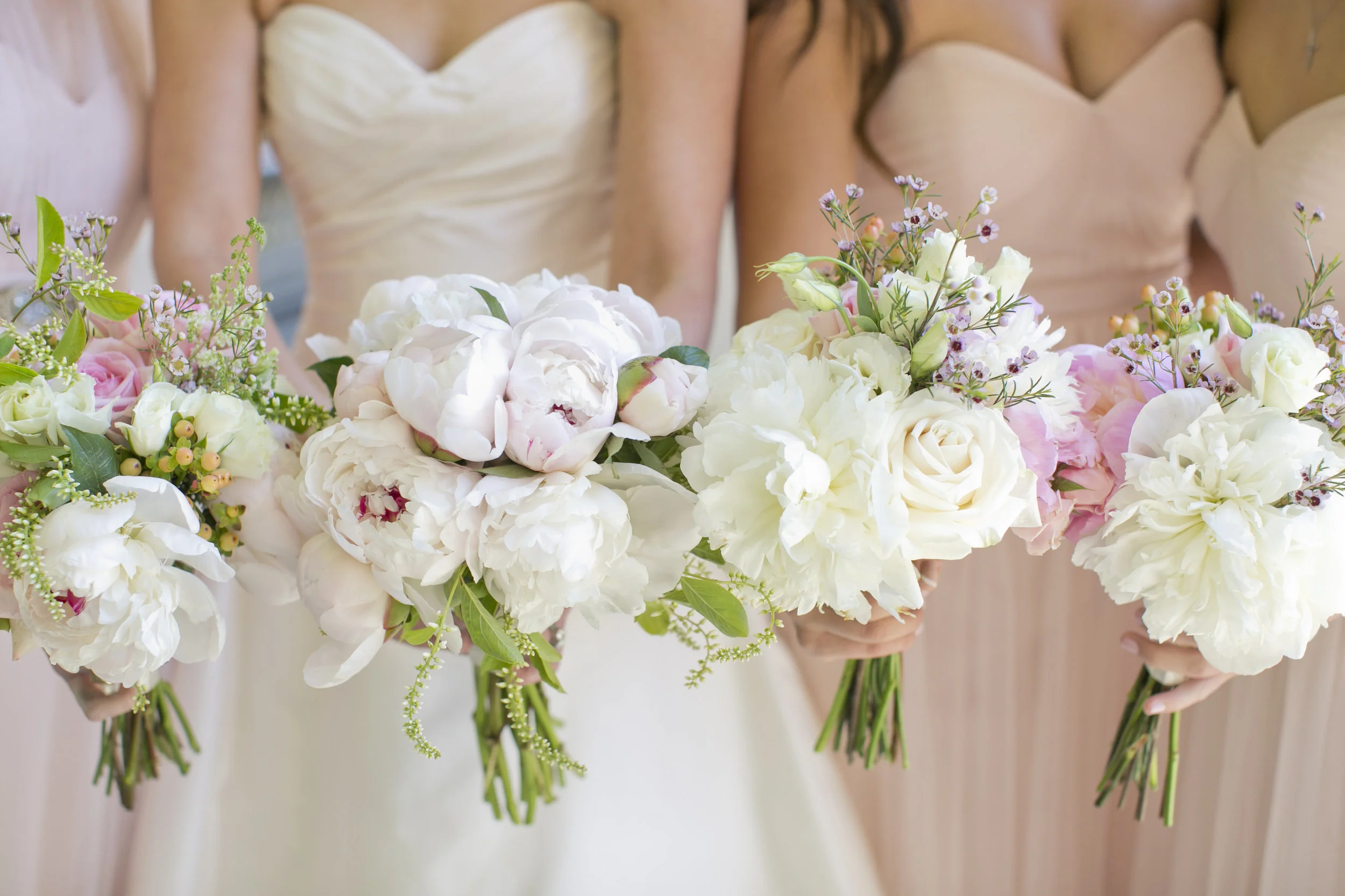 Megan Garrison Photography