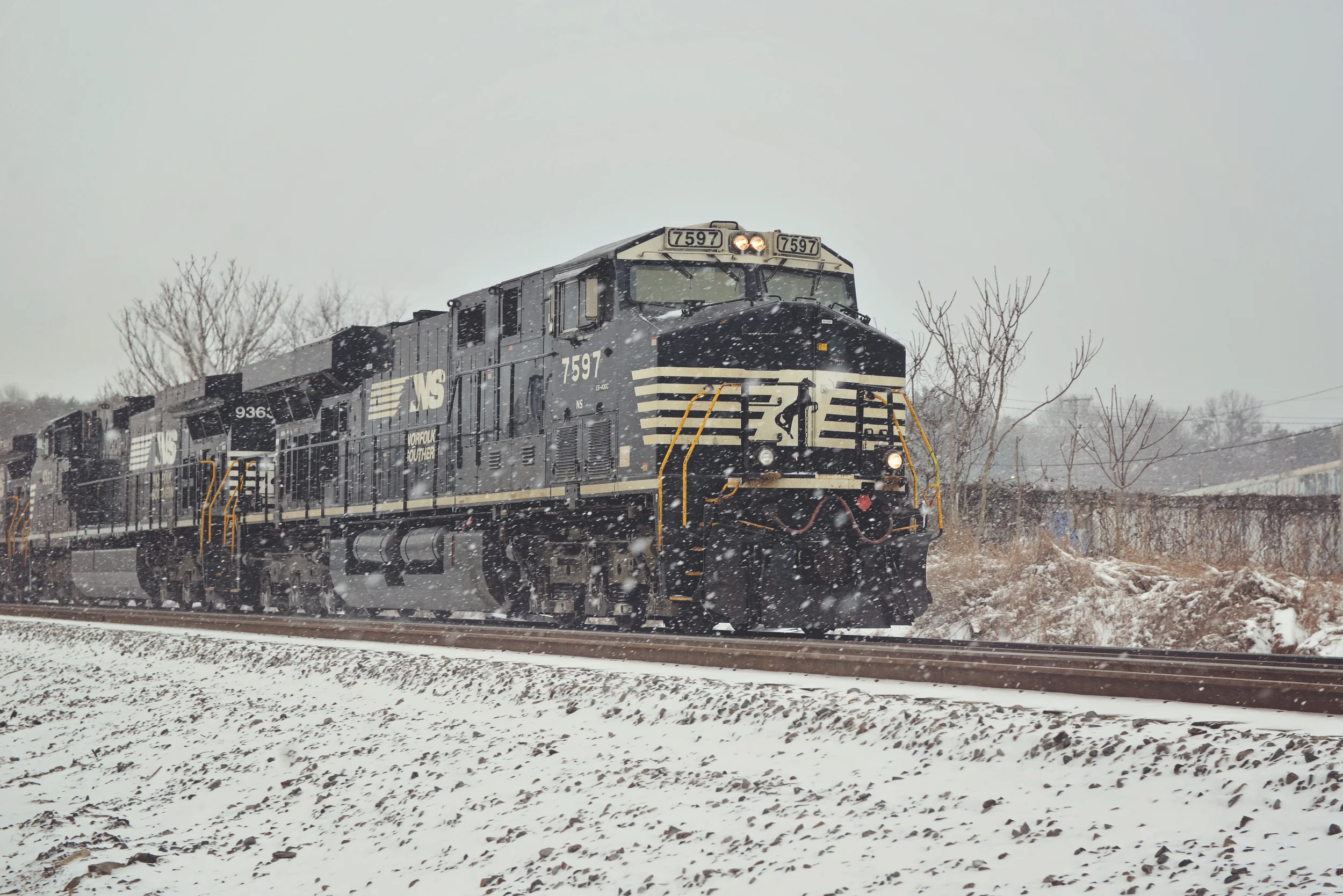 DSC_4713.jpg