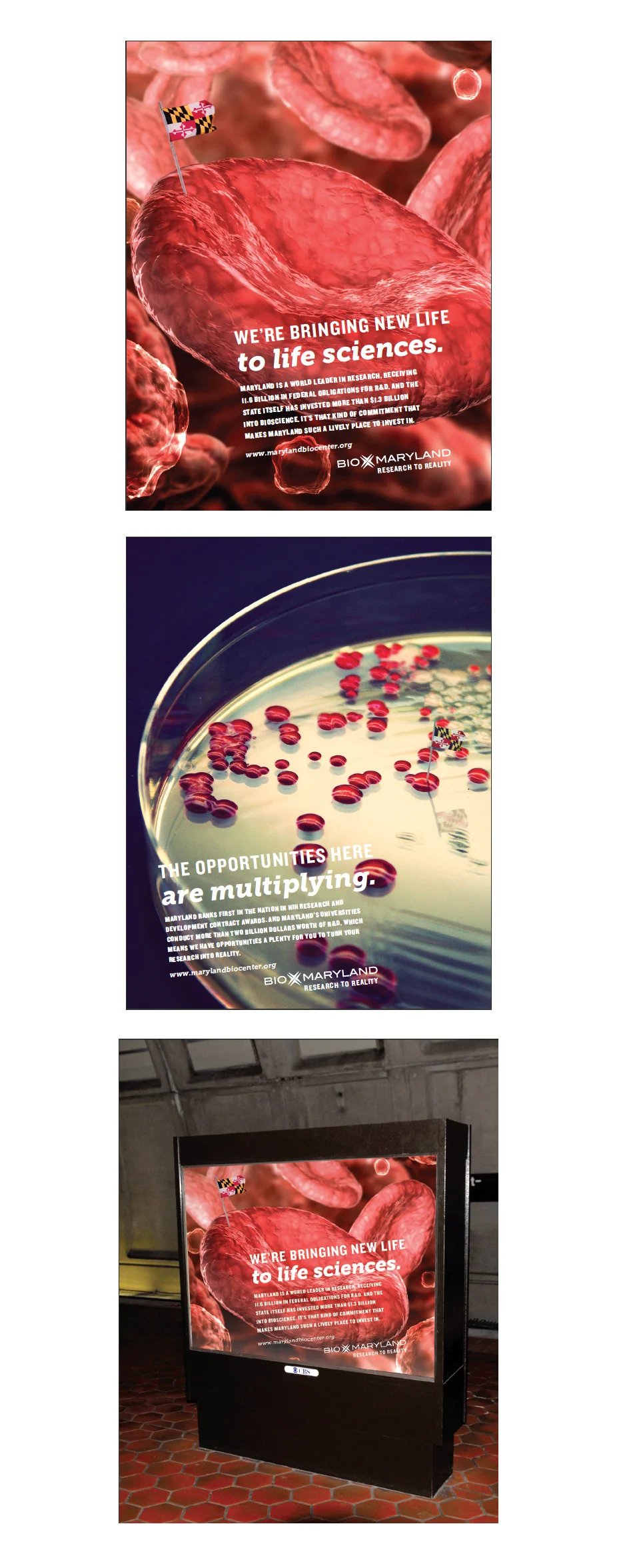 PRINT_BioMD1.jpg