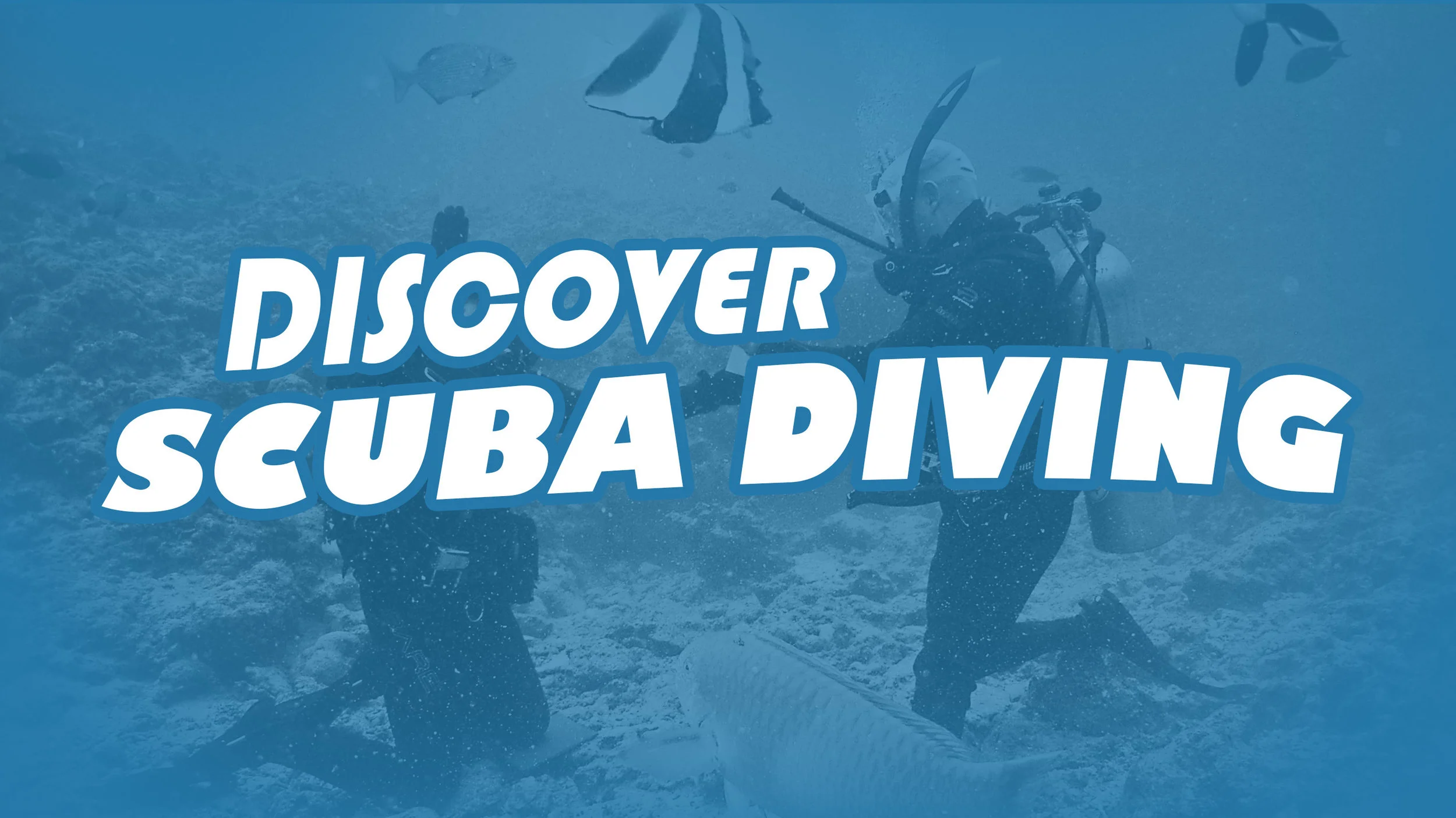 Discover Scuba Diving.jpg