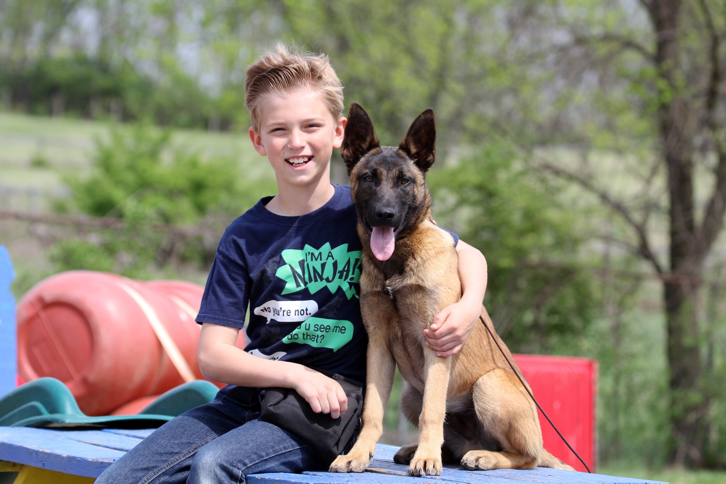 stonnie dennis dog training