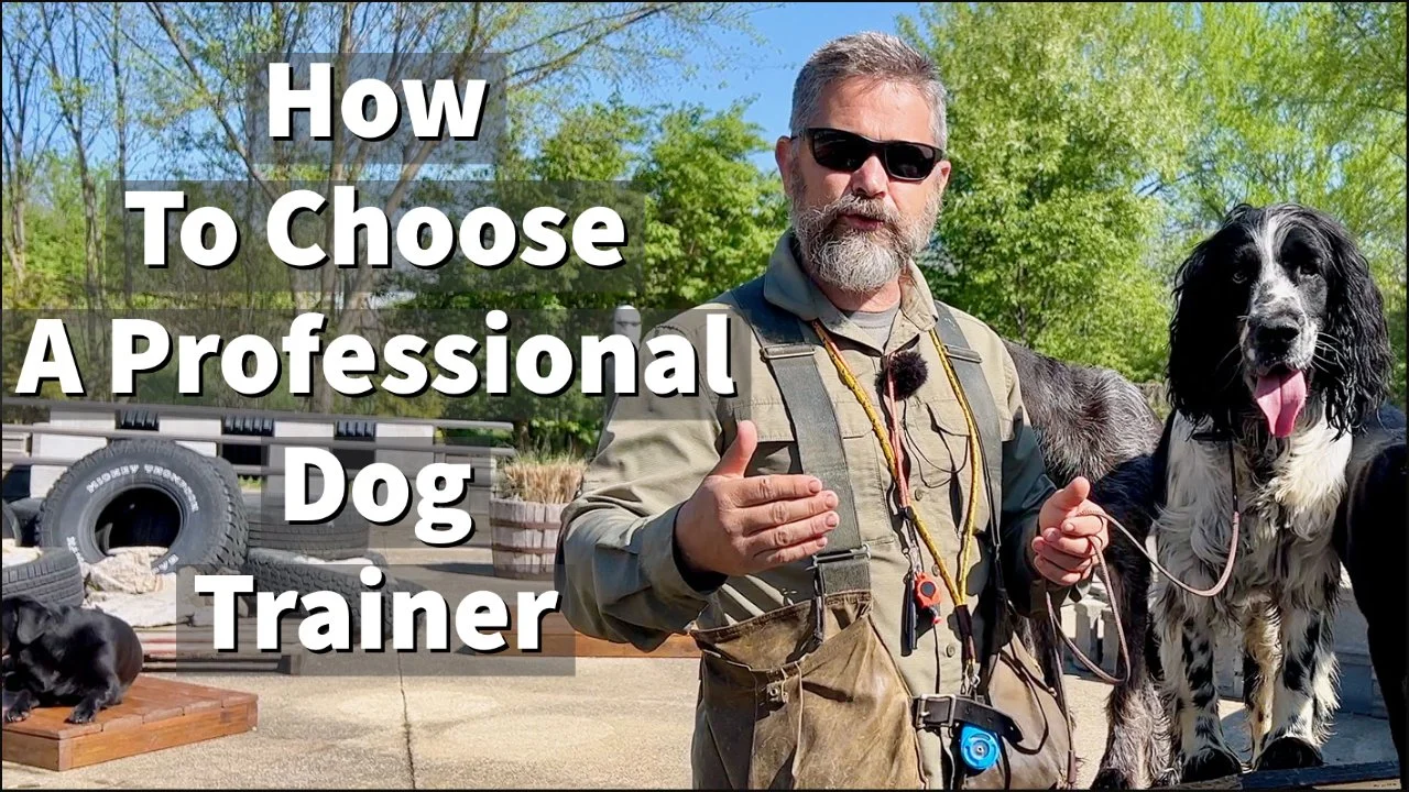 Stonnie Dennis Dog Trainer Lexington KY