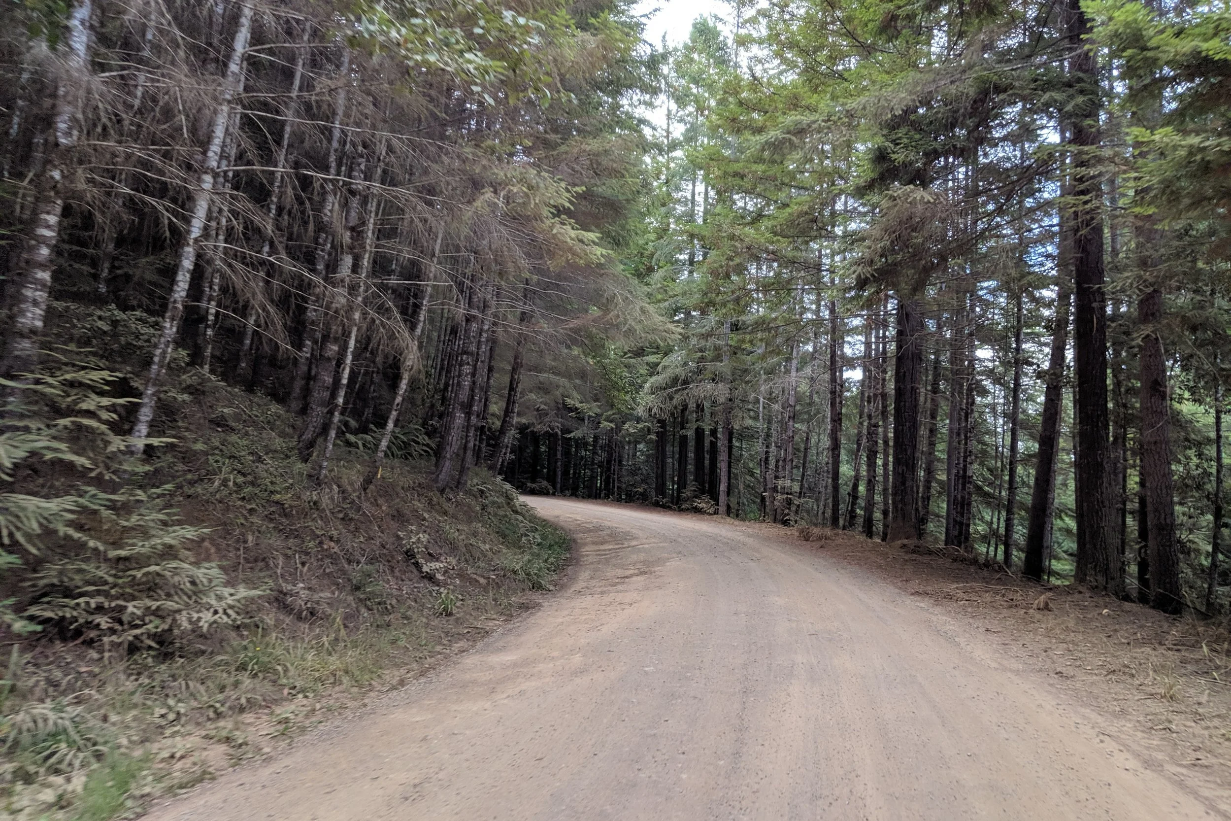 dirt_road_2.jpg