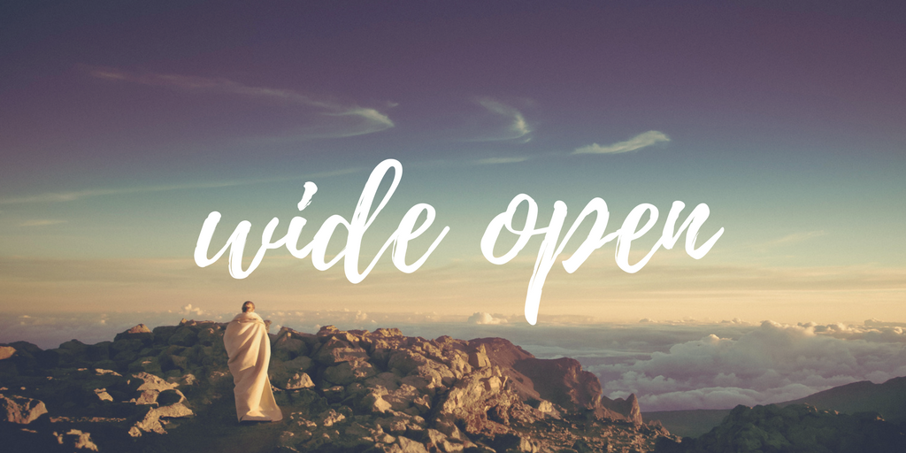 wide open.png