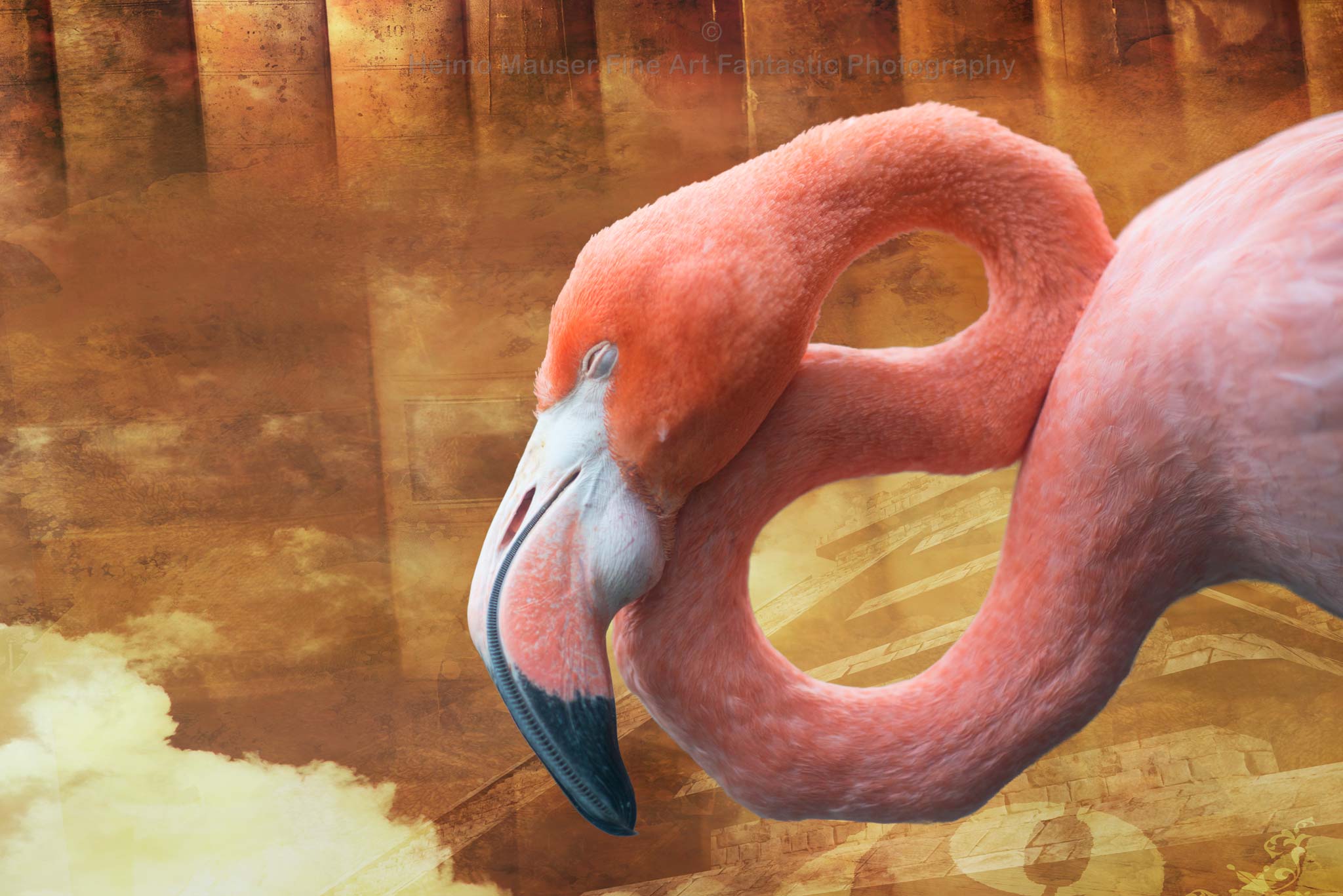 Bird Phenix