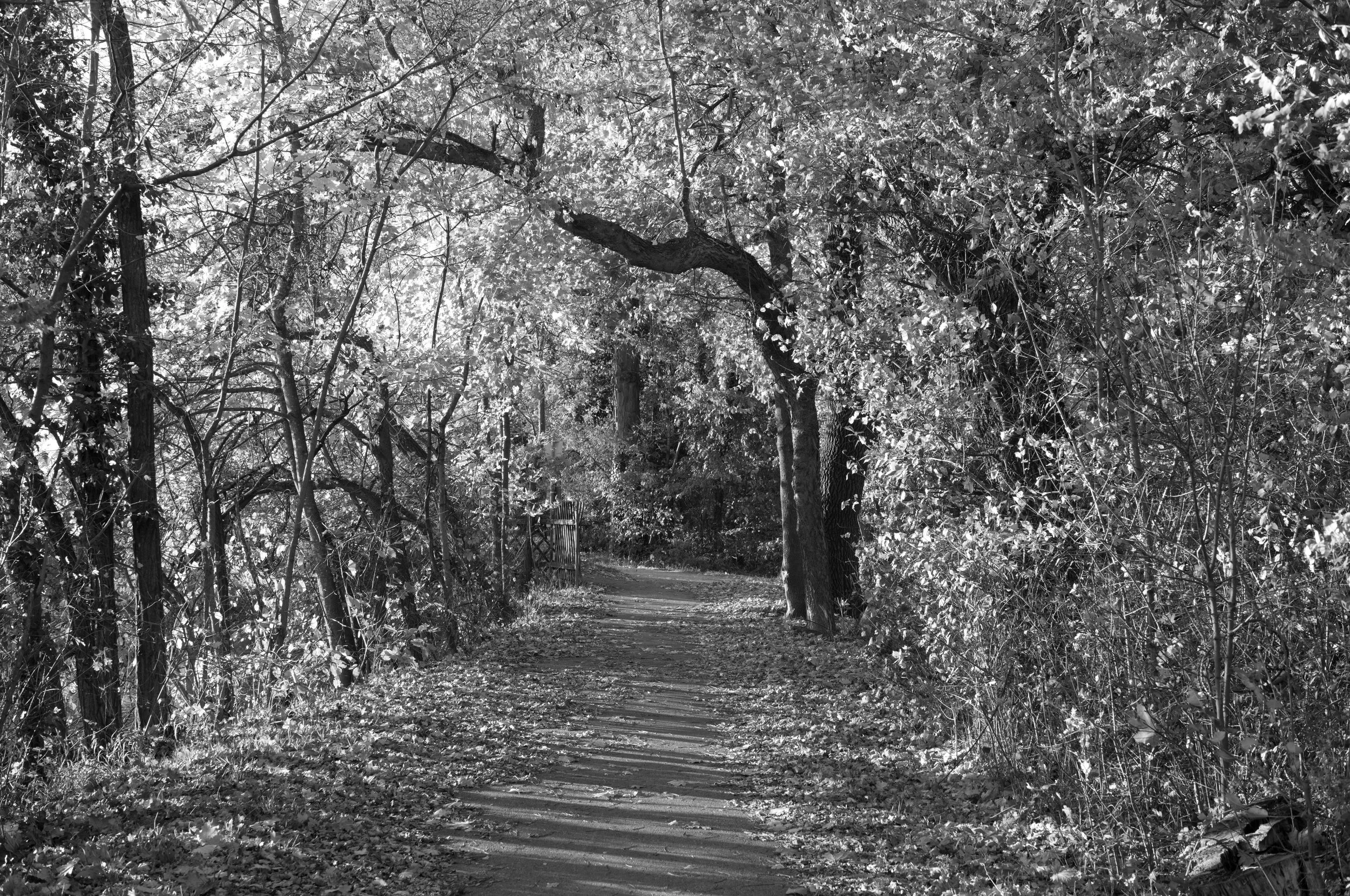 Oberwaltersdorf - Triesting