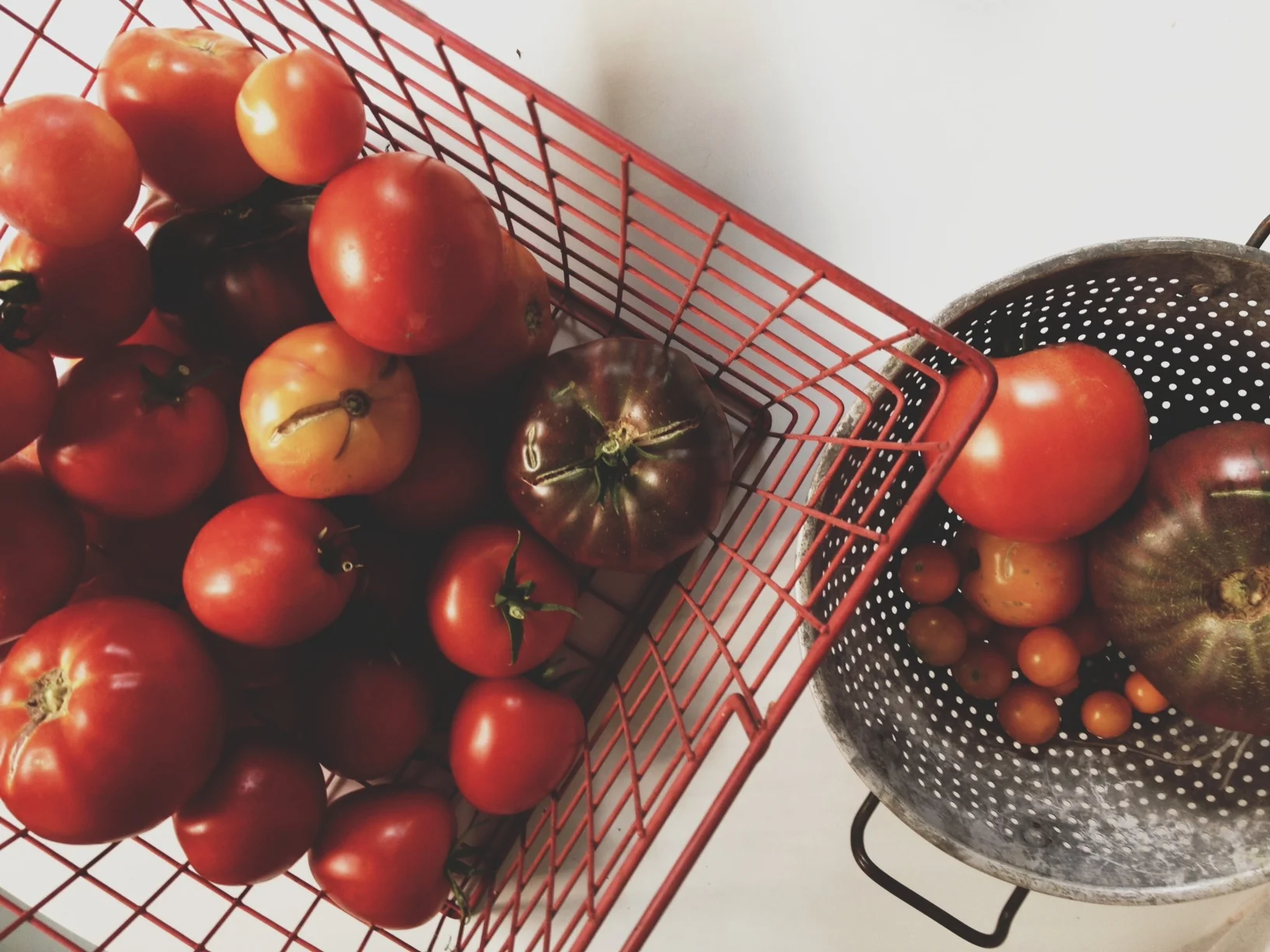 tomato3.jpg