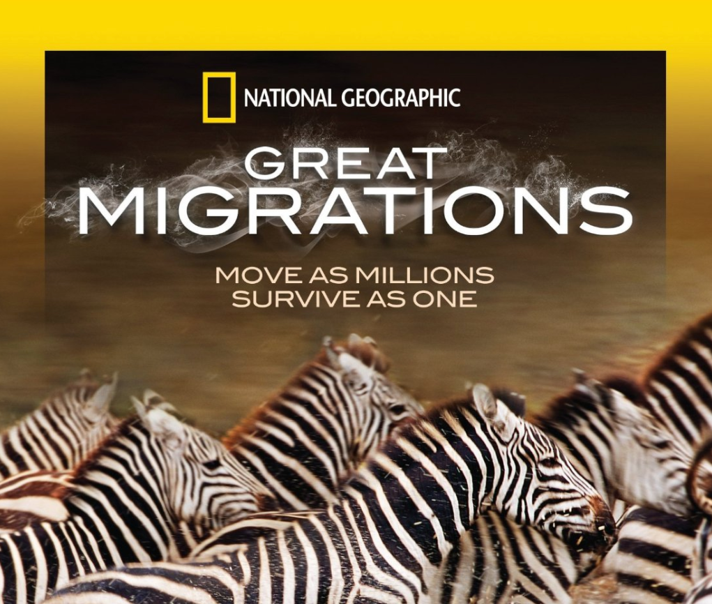 Screen Shot 2017-12-02 at 10.14.46 AM.png