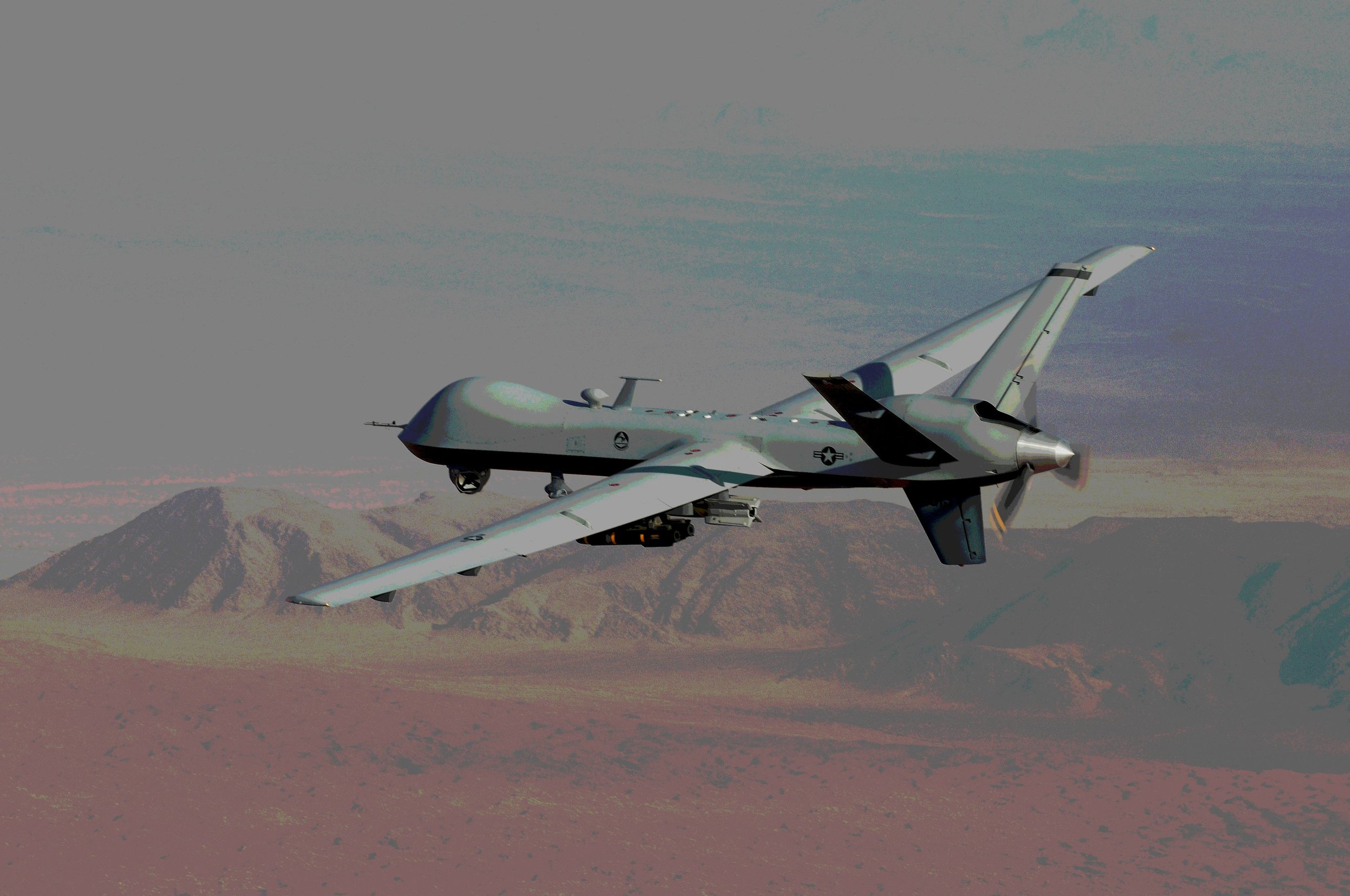 Drone Survival Guide