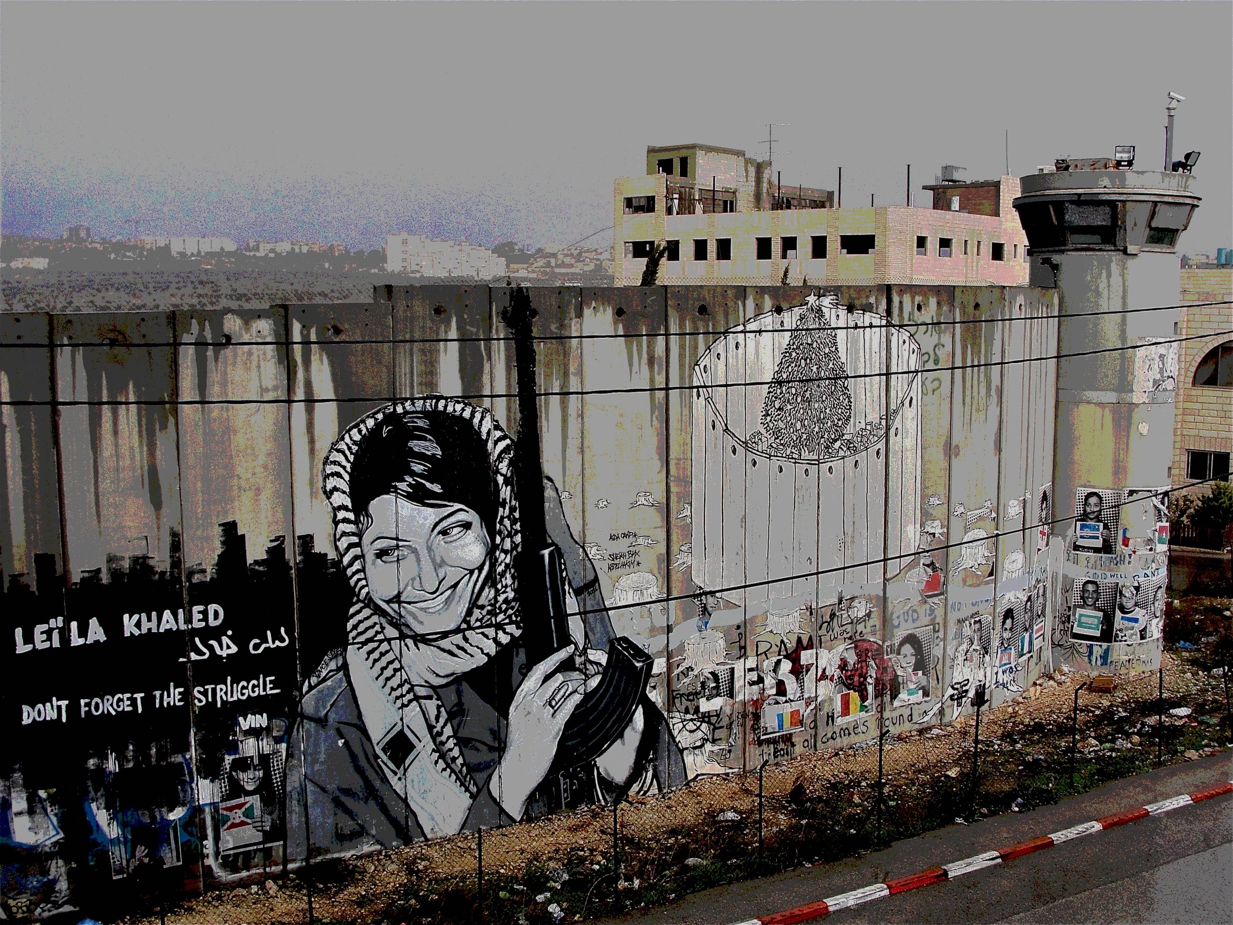 Palestine: The International Liberation Struggle