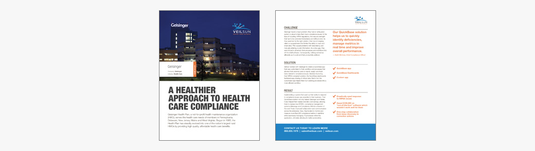 VeilSun Case Study
