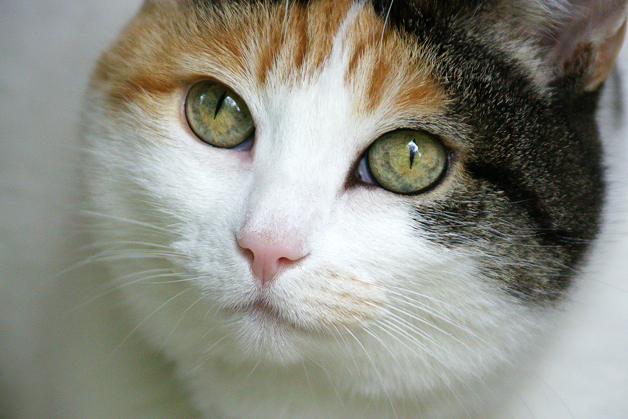 lucyportraitDSC08718.jpg