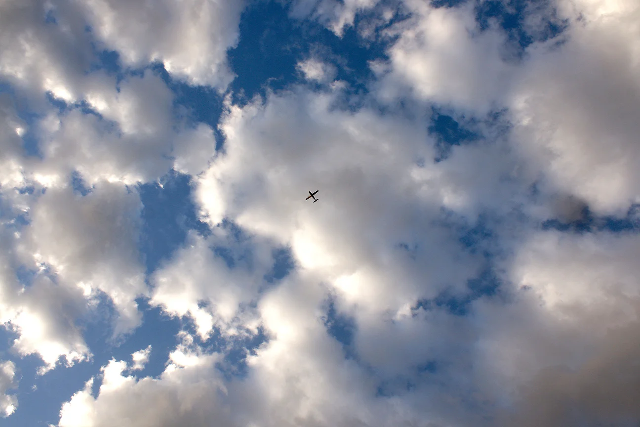 It's a bird! No it's a plane!