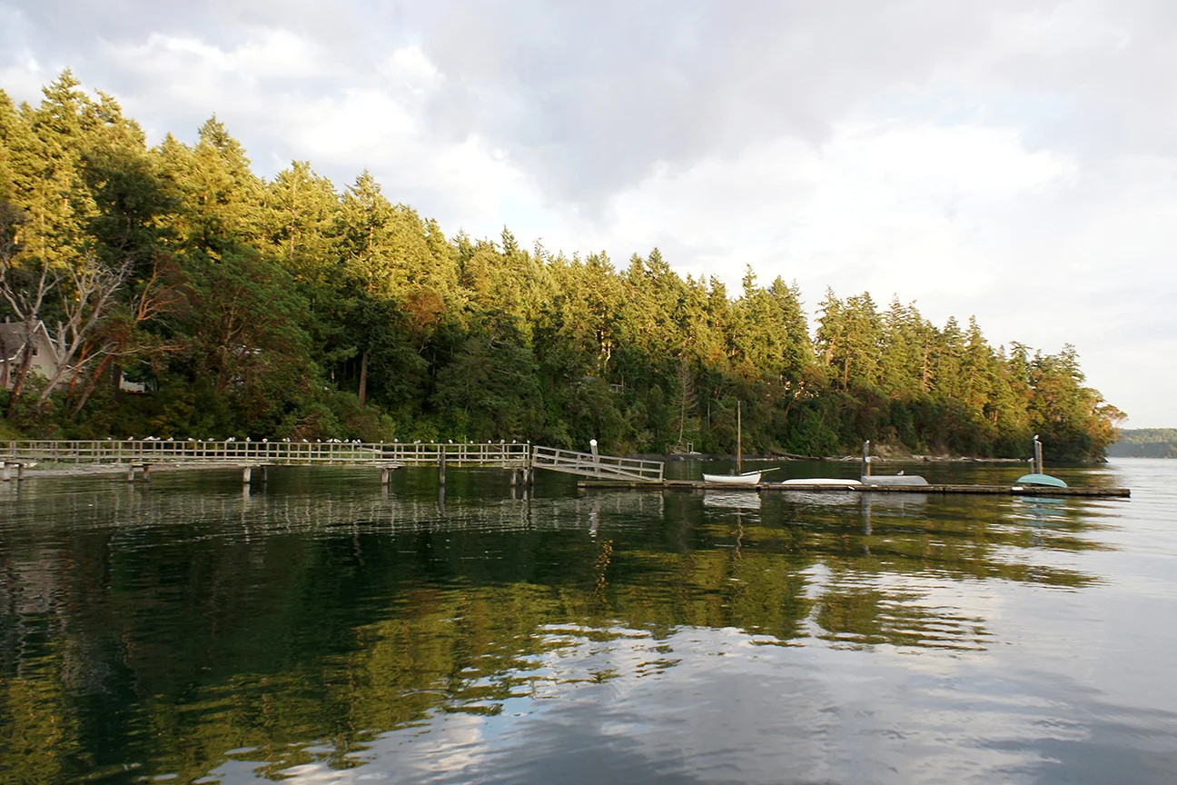 -vDSC02556.jpg