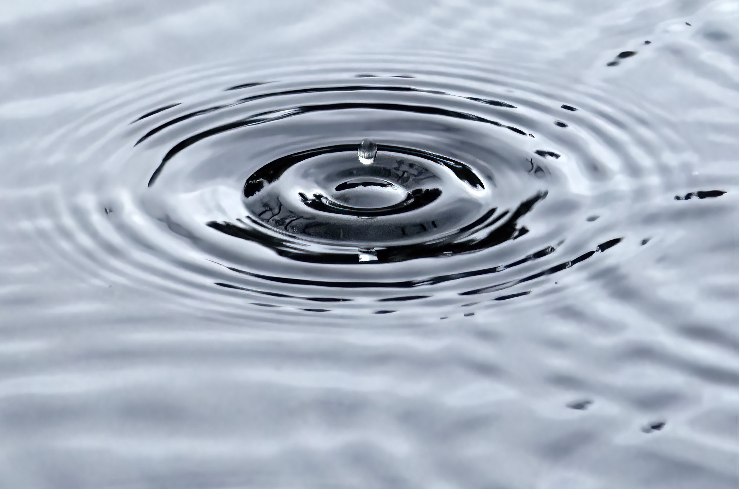 rain drop bounceDSC01317-2.jpg