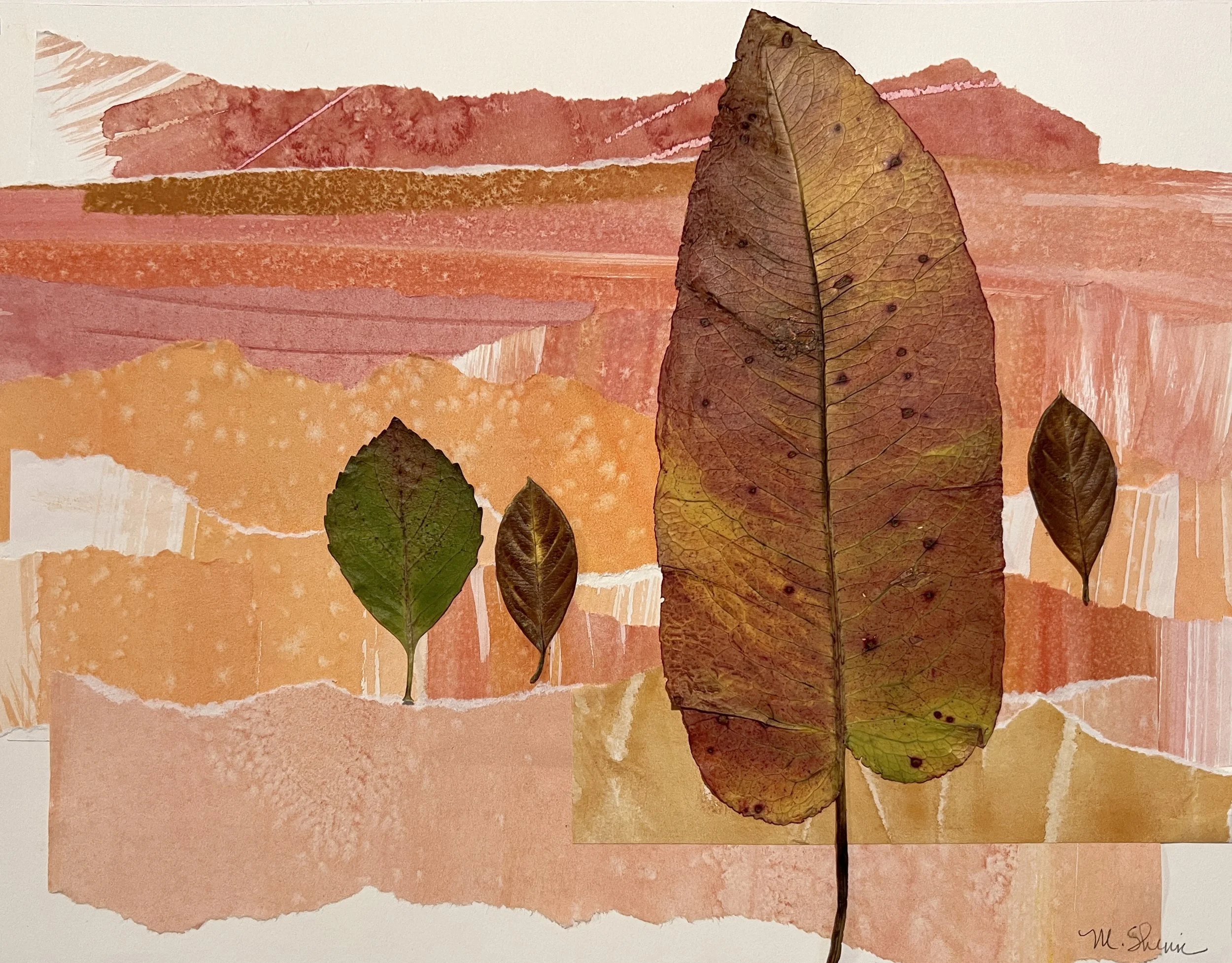 Merridy Shinn_Coral Desert_collage_$325.jpg