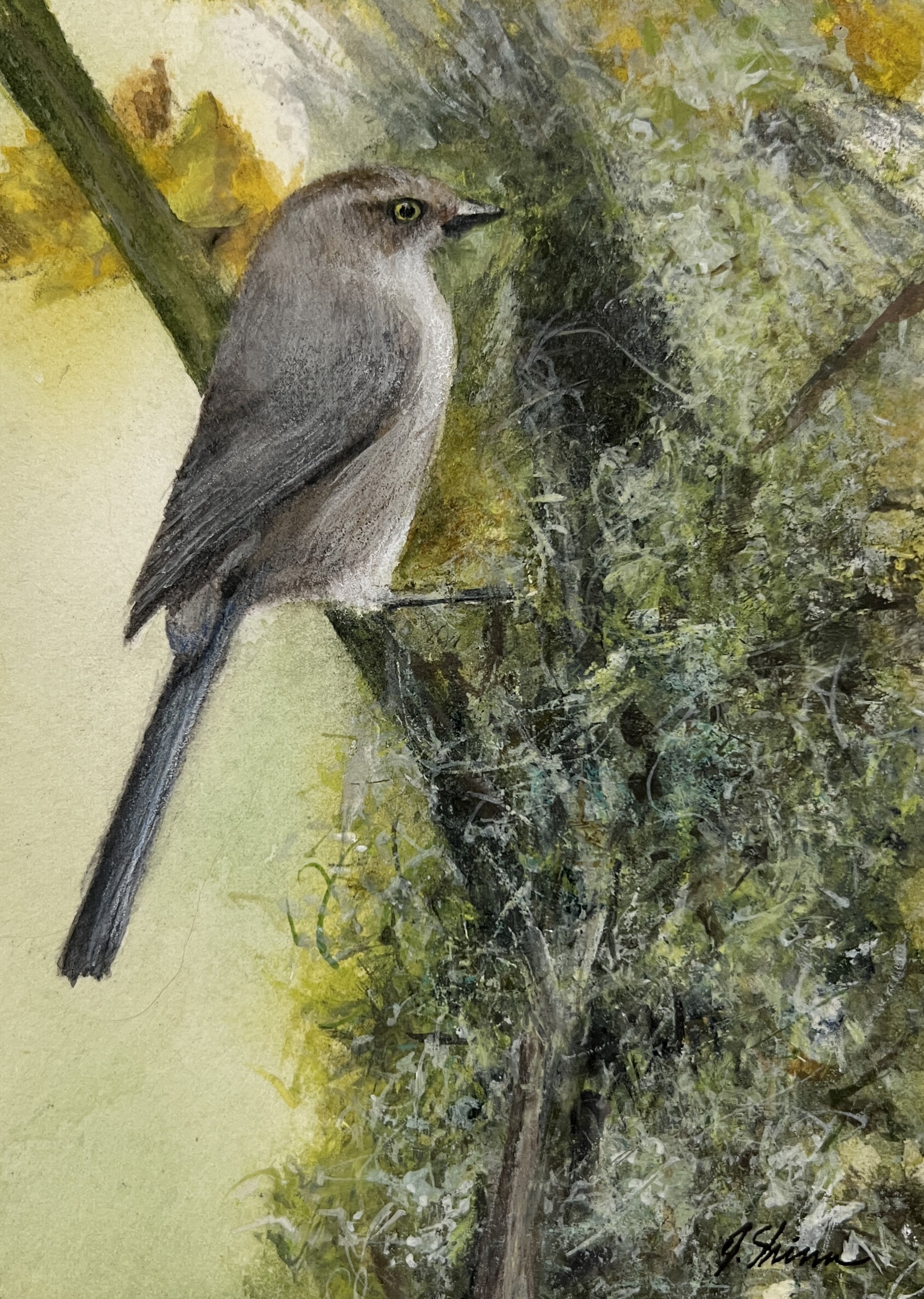 Bushtit at the Nest, Gary Shinn, 4 1:2x6 1:2 $400.jpg
