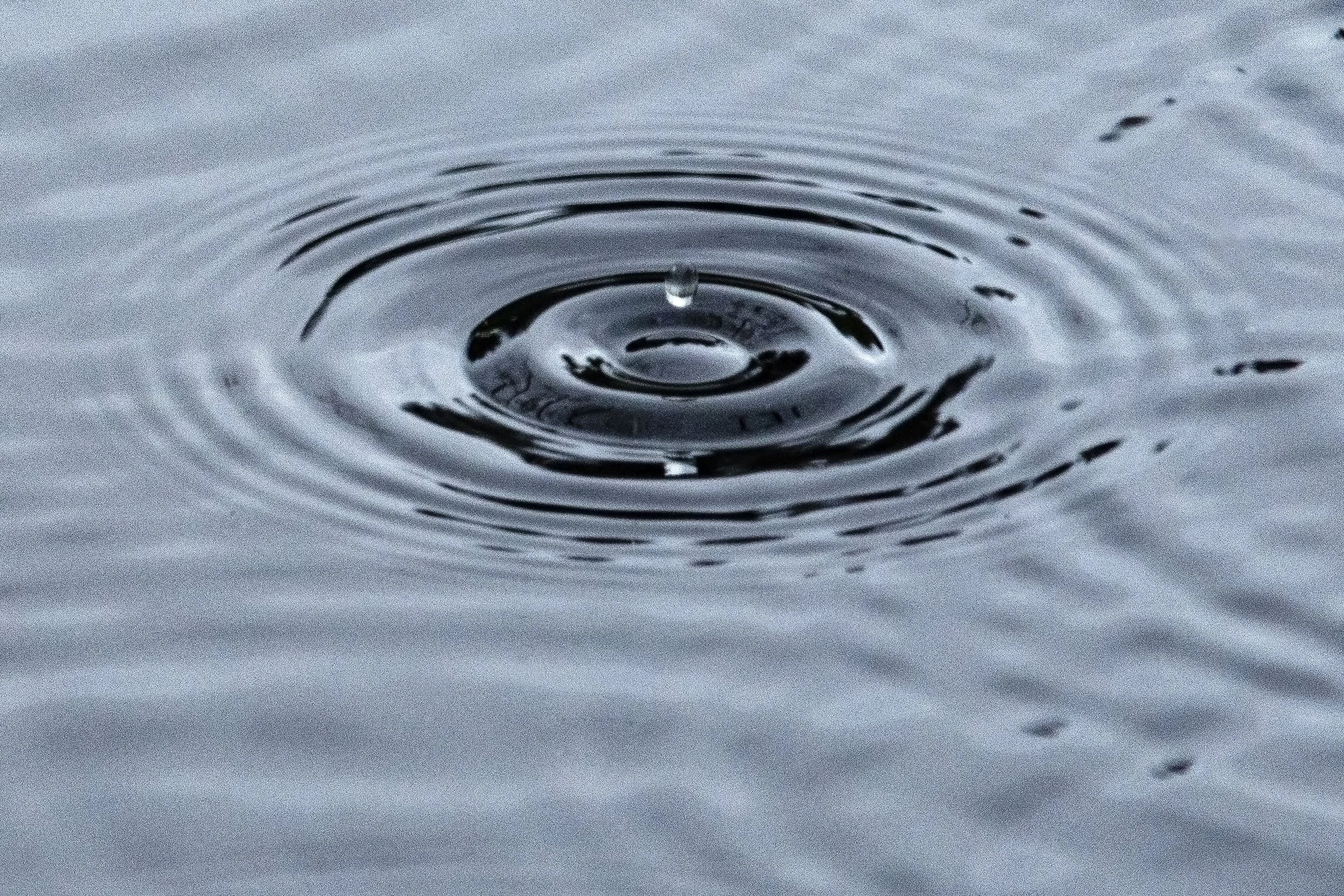 rain drop bounceDSC01317-2.jpg