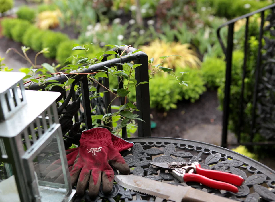 Hori Hori Knife, Felco Pruners, Garden Gloves