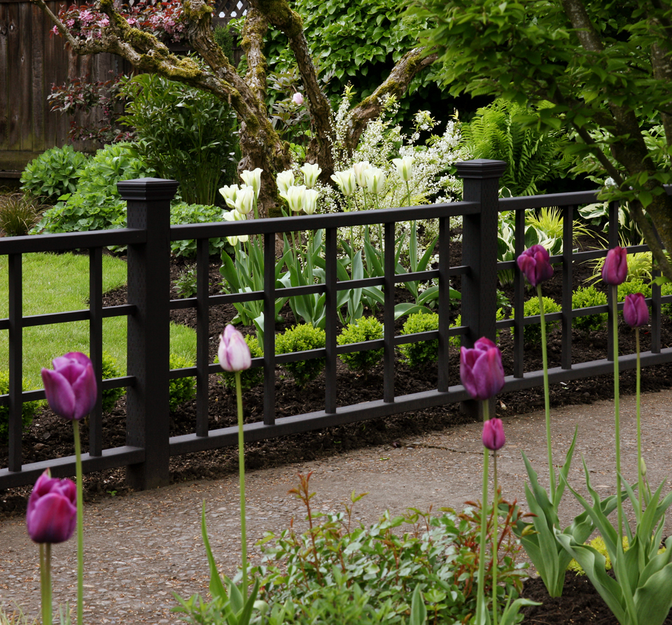 I love springtime blooms — so fresh, lively, and luscious! And, the black stained fence really pops the color!