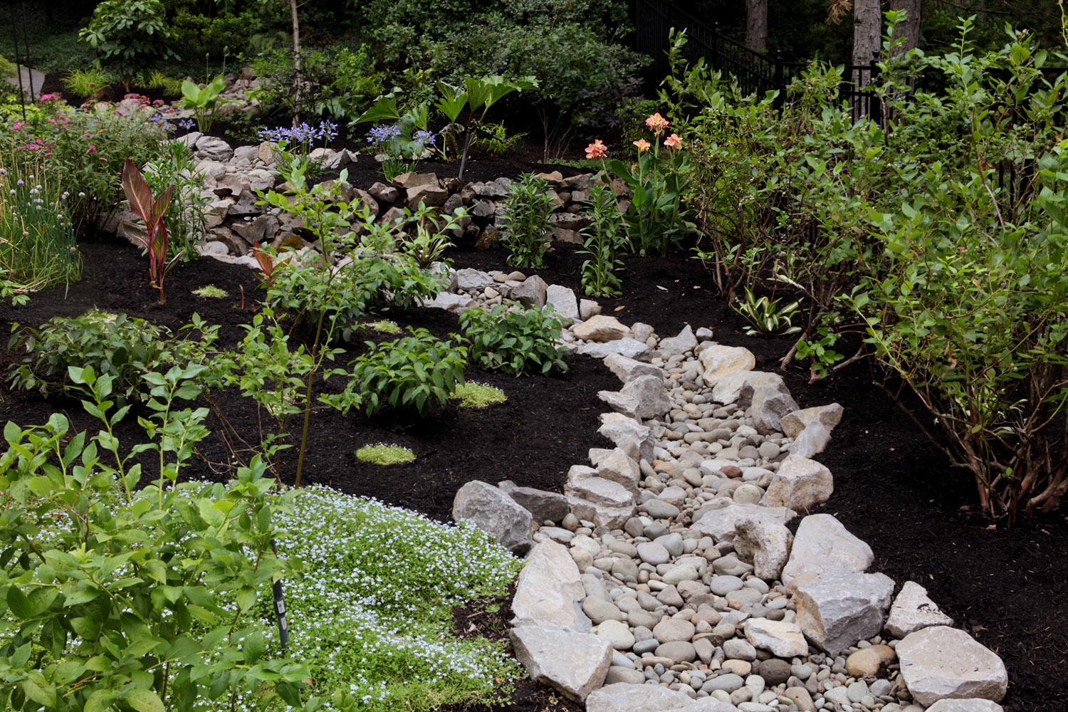 Transformed side garden with dry creek bed. Looking up towards the woods. Photo by Fred Stickley / StickleyCreative
