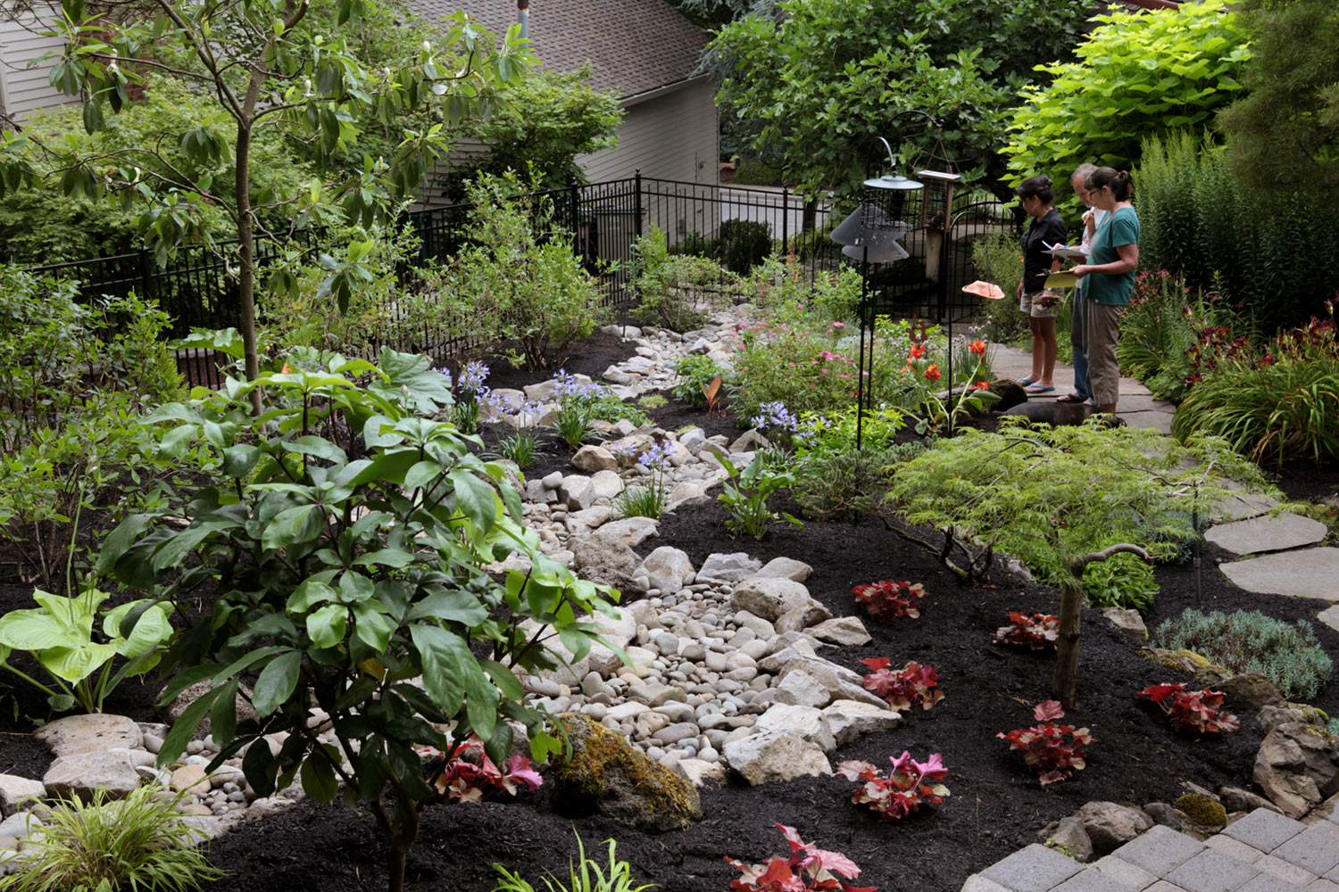 Going over plant care with Bruce and Maureen. I love this part of the design process! Photo by Fred Stickley / StickleyCreative