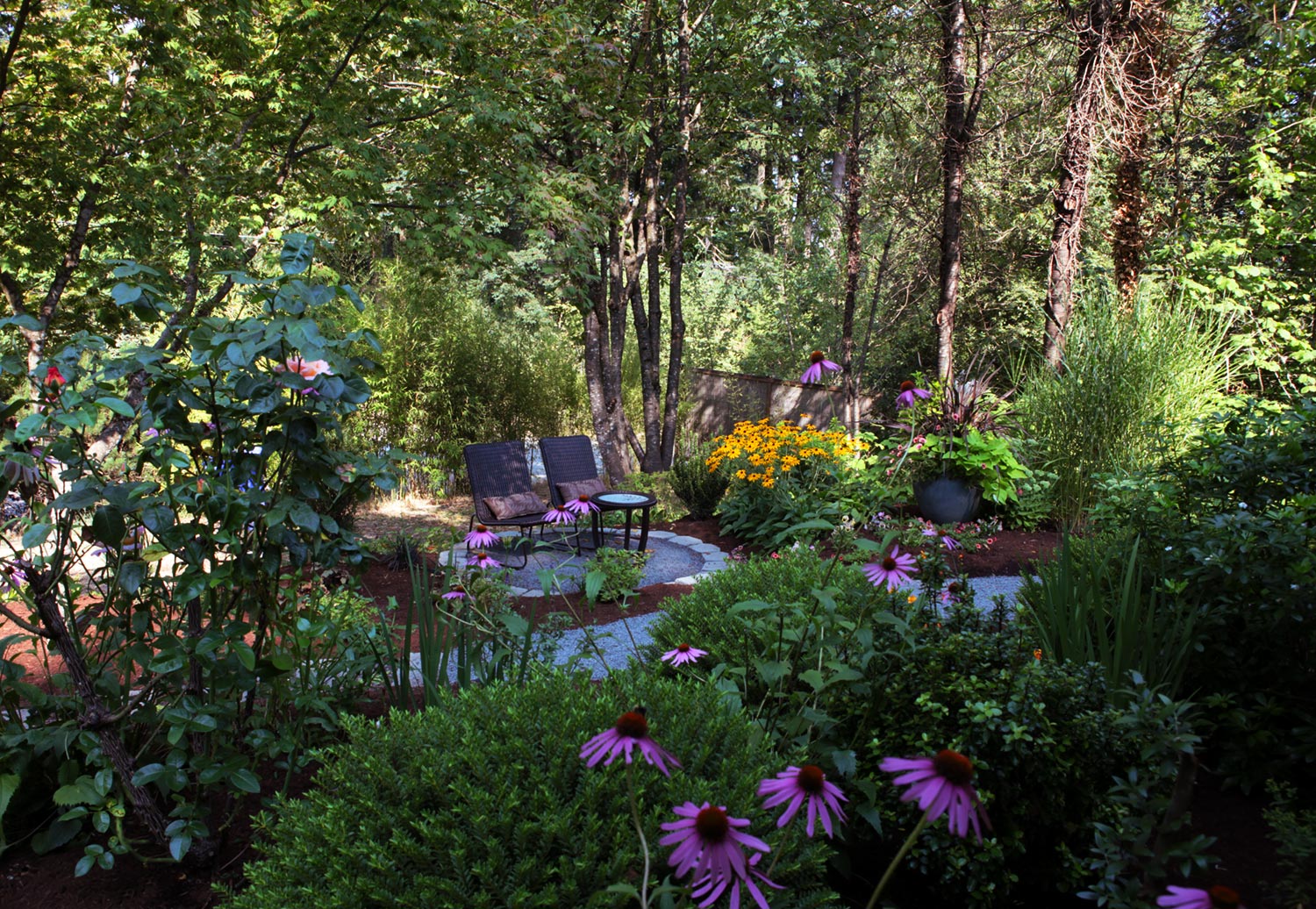 Looking towards the woods. Photo by Holly Stickley