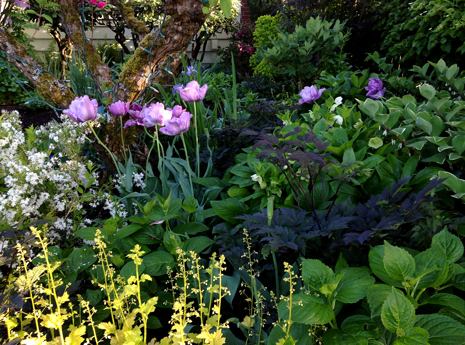 My 2016 Personal Garden Design