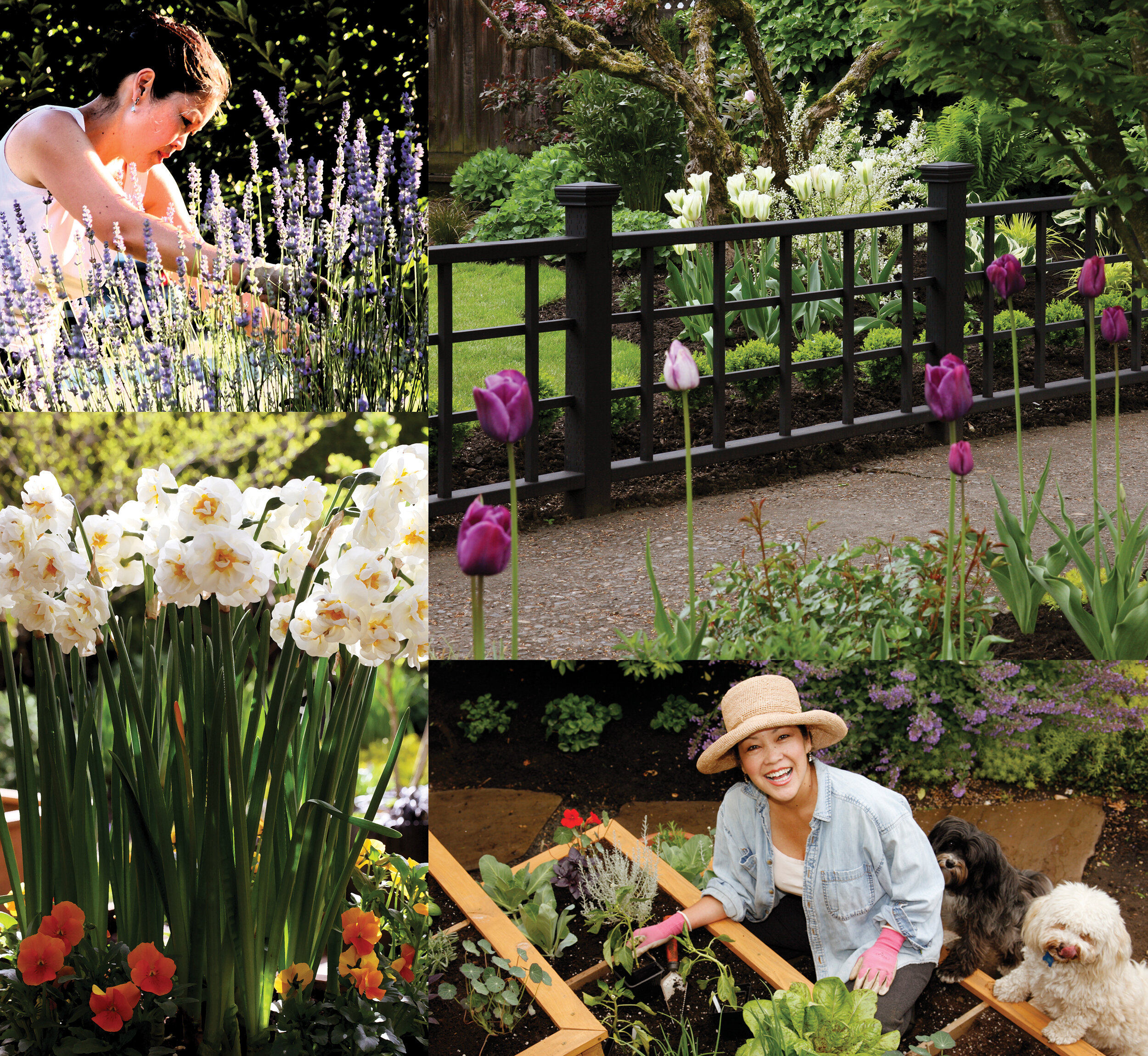 Welcome Page Collage WP-2500.jpg
