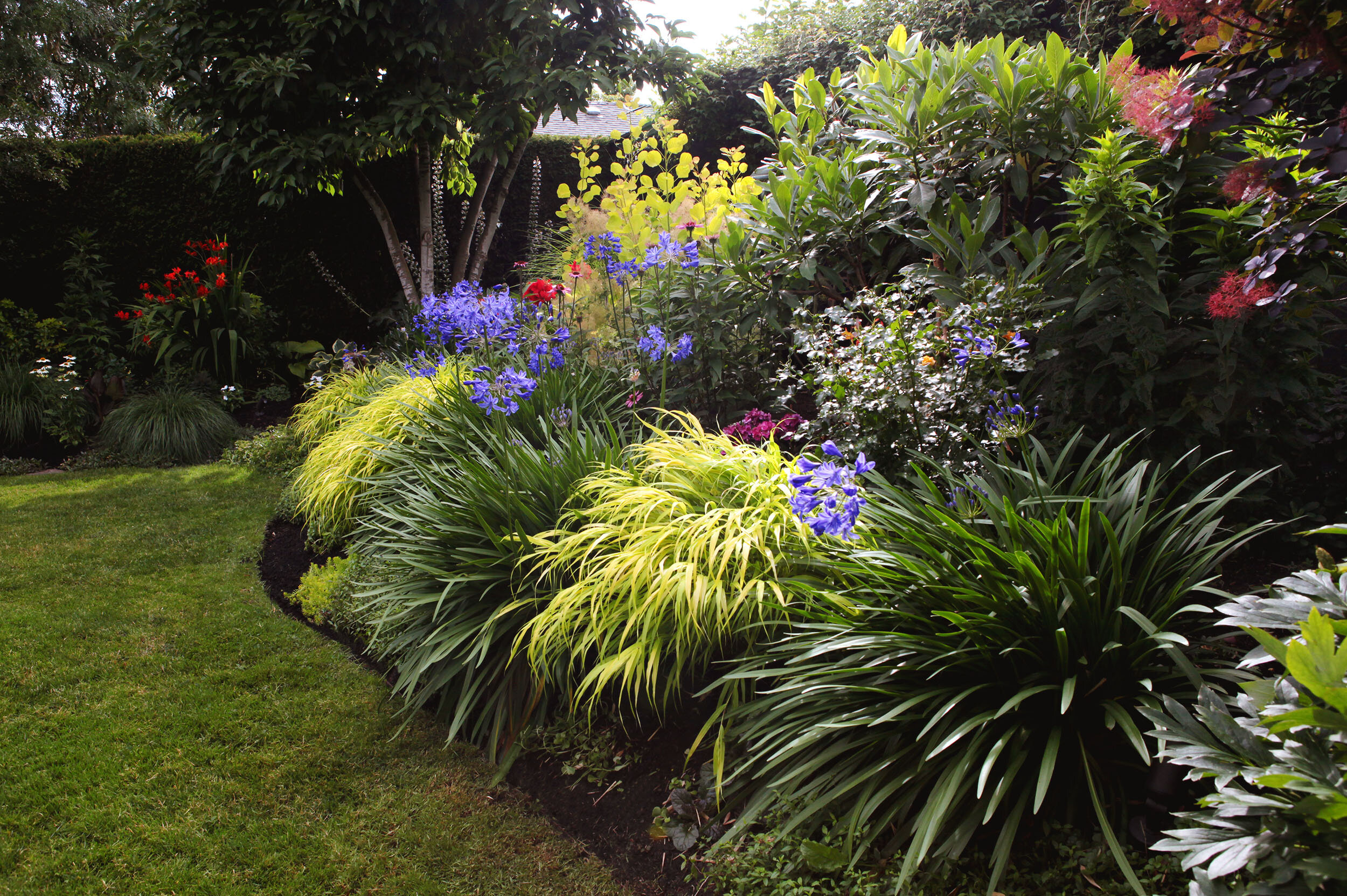 Summer Perennial Garden Bed, Portland, OR