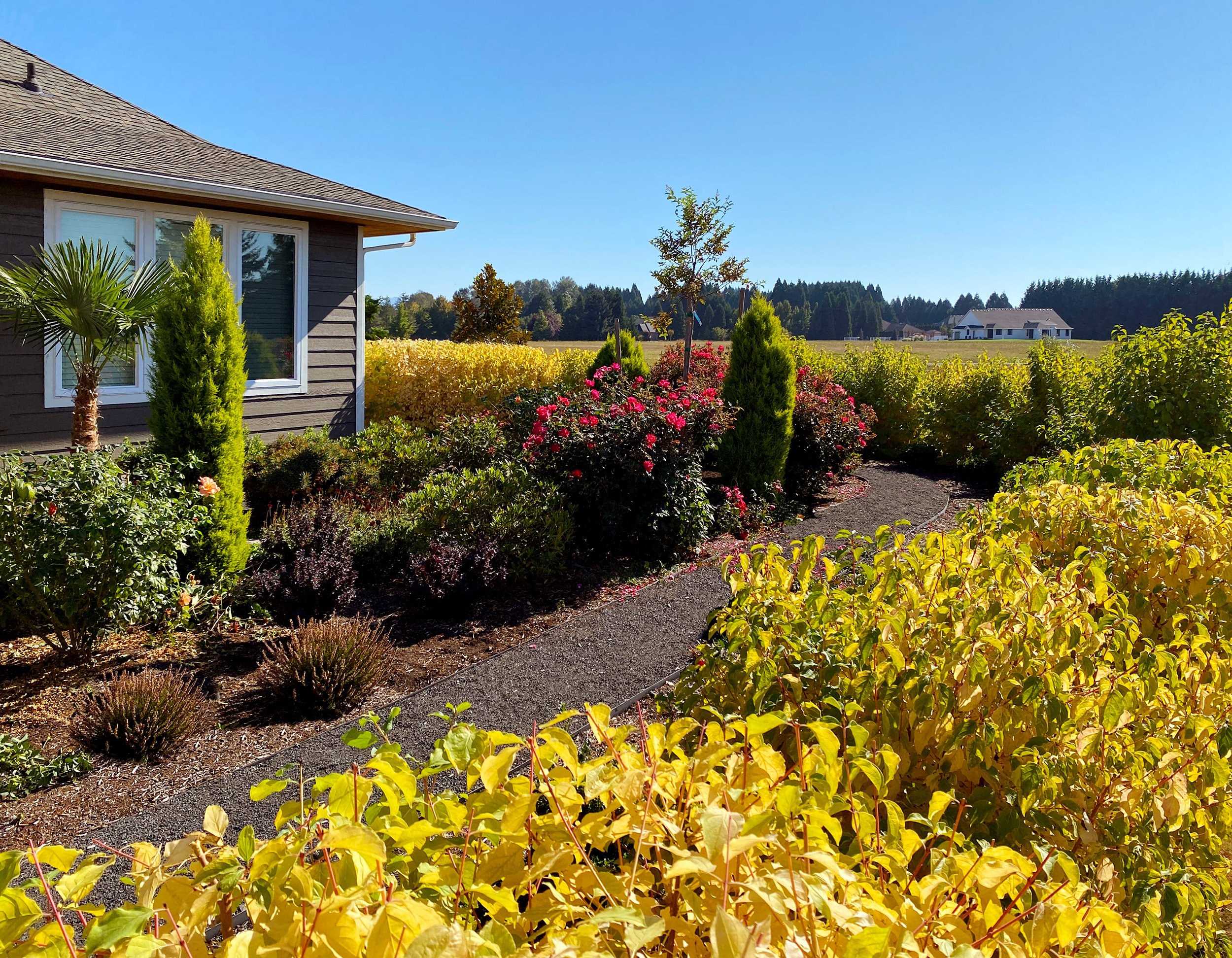 Buerkle Backyard Garden.jpg