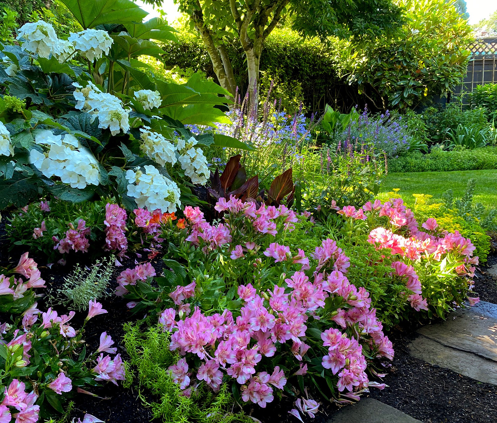 Oakleaf & Alstroemeria.jpg