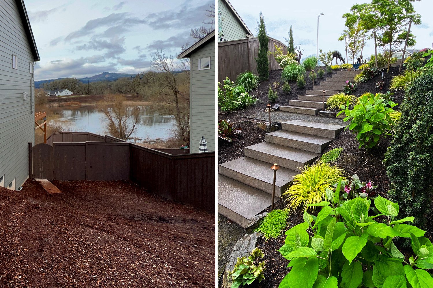 Bonin Side Garden Before & After.jpg