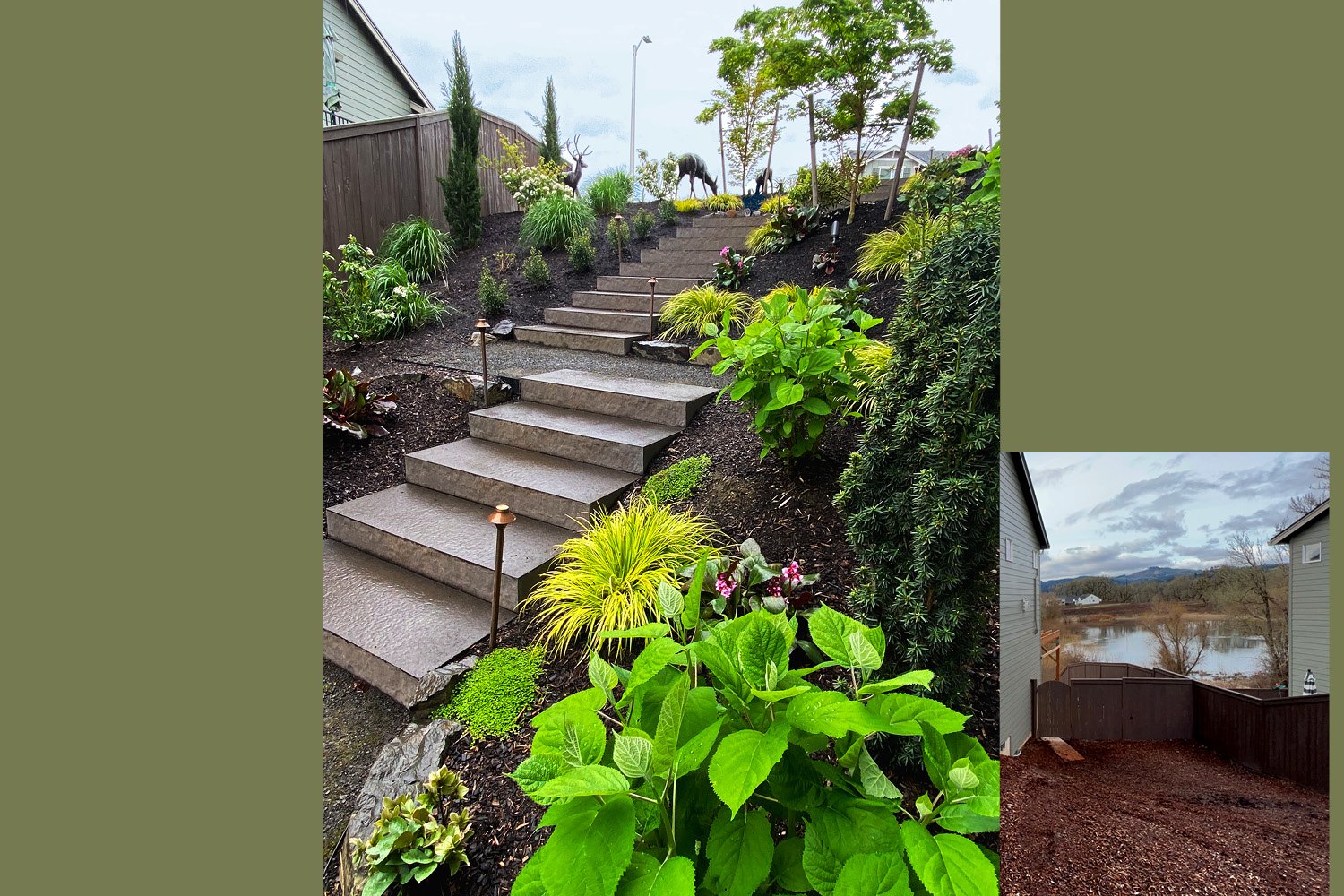 Before & After Design, McMinville, Oregon. 
Before: Large steep blank side yard with lots of potential.
After: Designed a 4' wide terracing paver staircase with 3 landing areas to make it down the hill. Designed a garden of cohesive plant material al