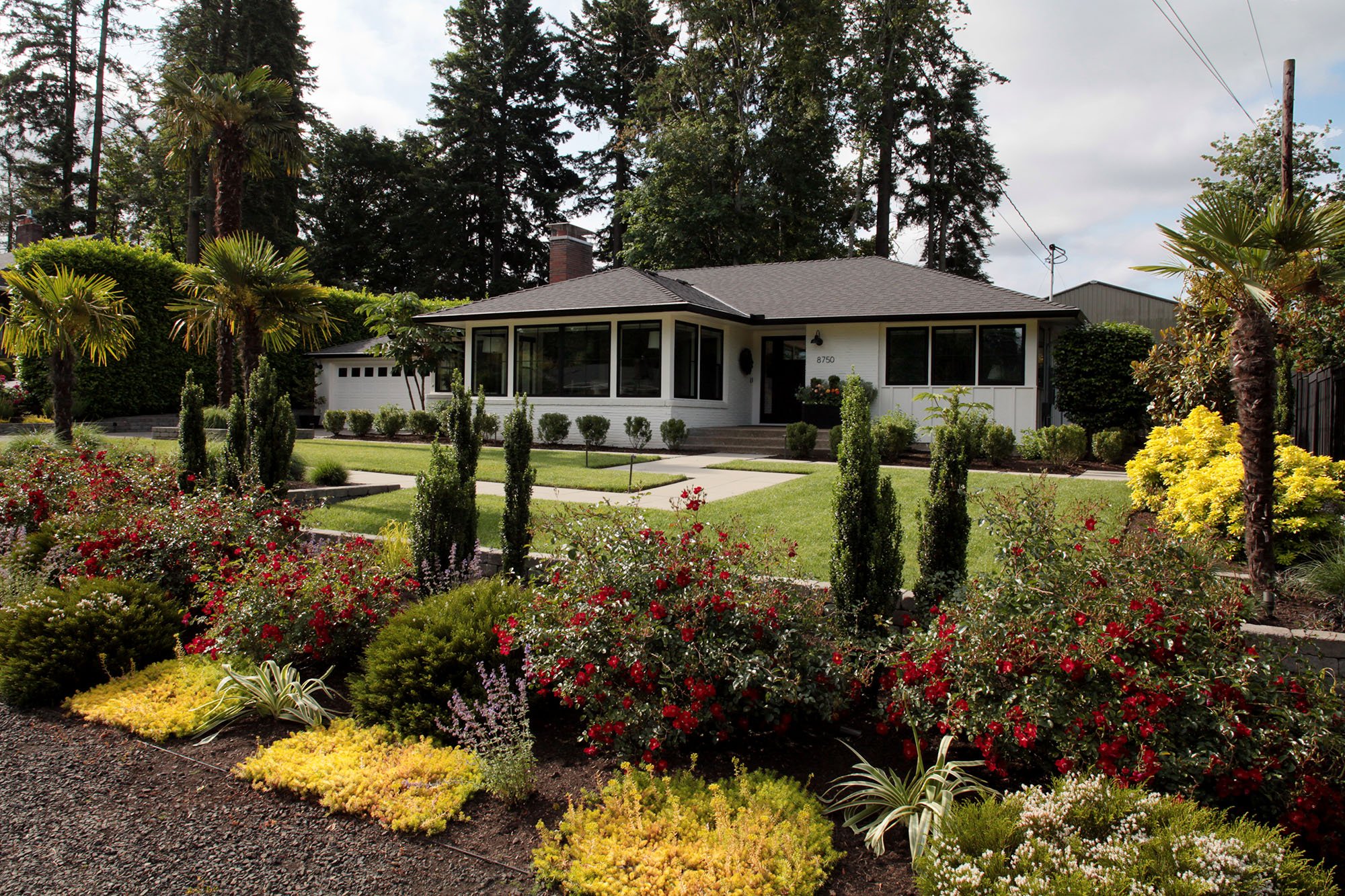 Mid-Century Modern style home. Lower front planting beds just off the gravel parking area, sets up the drama of the beautiful house beyond.