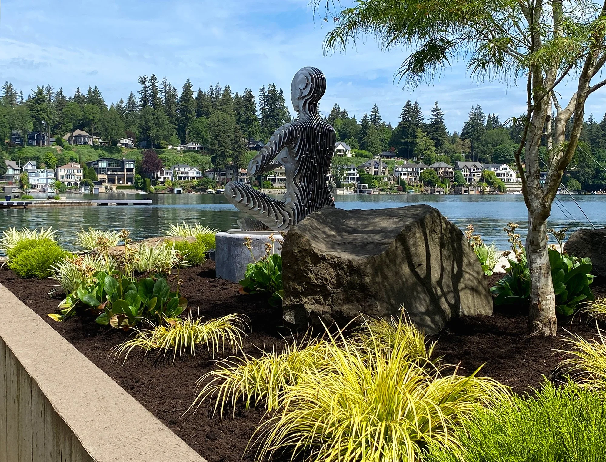 Lake Oswego modern landscape design. Repeating plants of acorus, bergenia, and hebes.